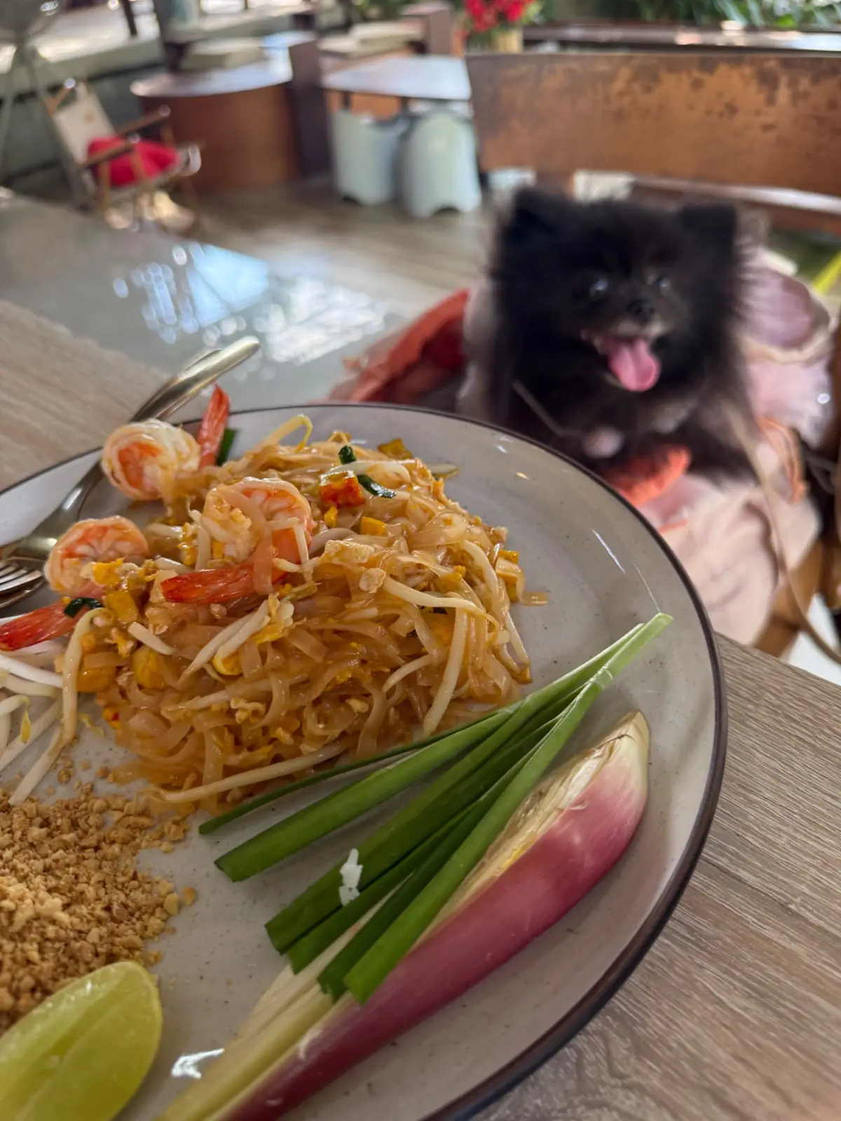 Hansa cafe food image 6