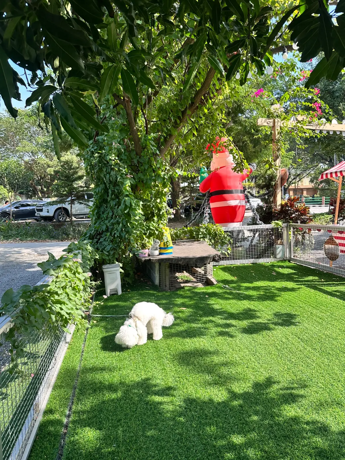 Hansa cafe.food.garden overall image 2