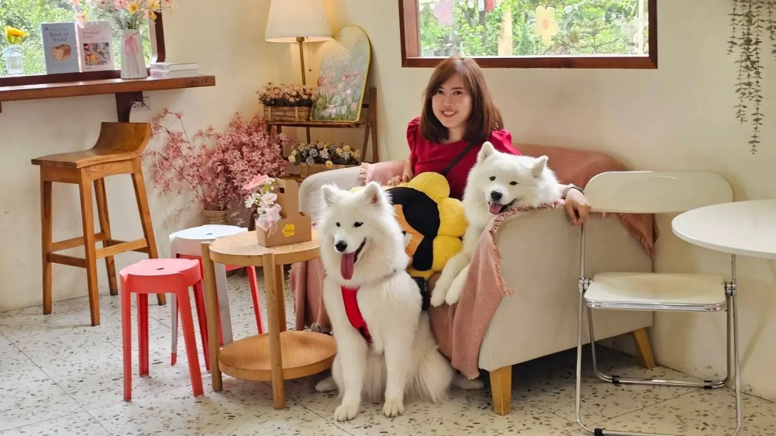 Hansa cafe pets image 2