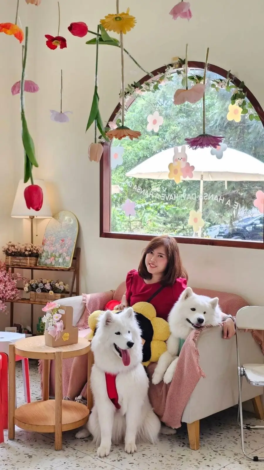 Hansa cafe pets image 6