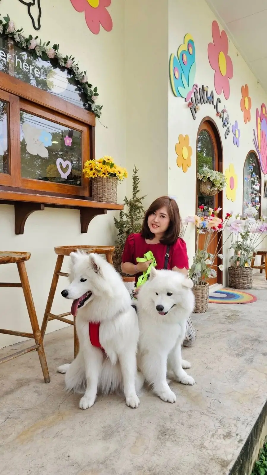 Hansa cafe pets image 3