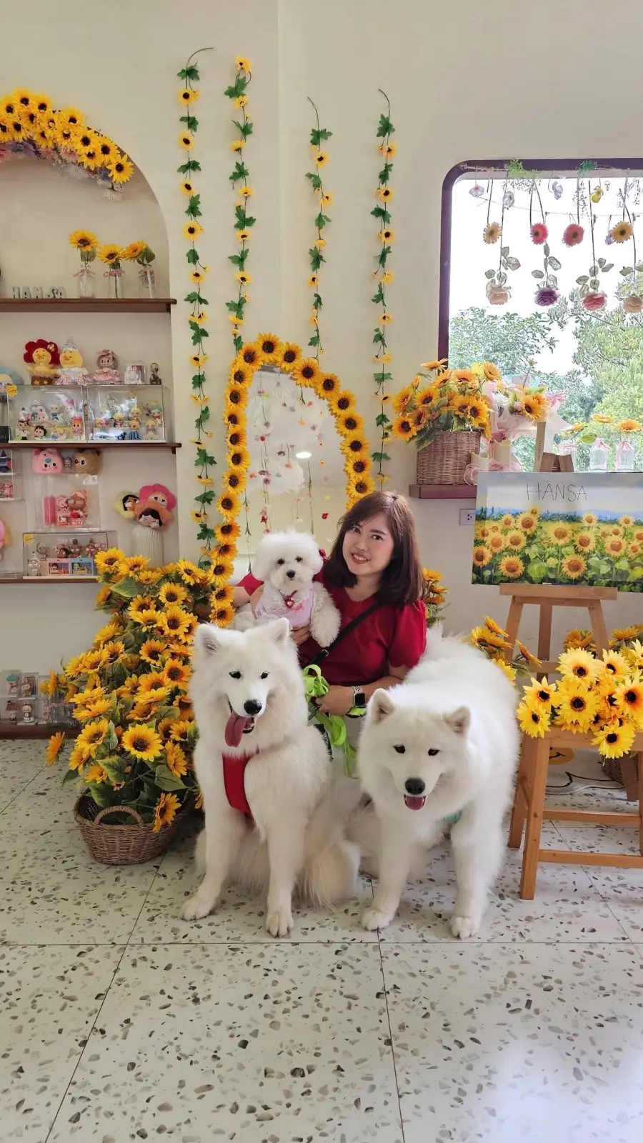 Hansa cafe pets image 1