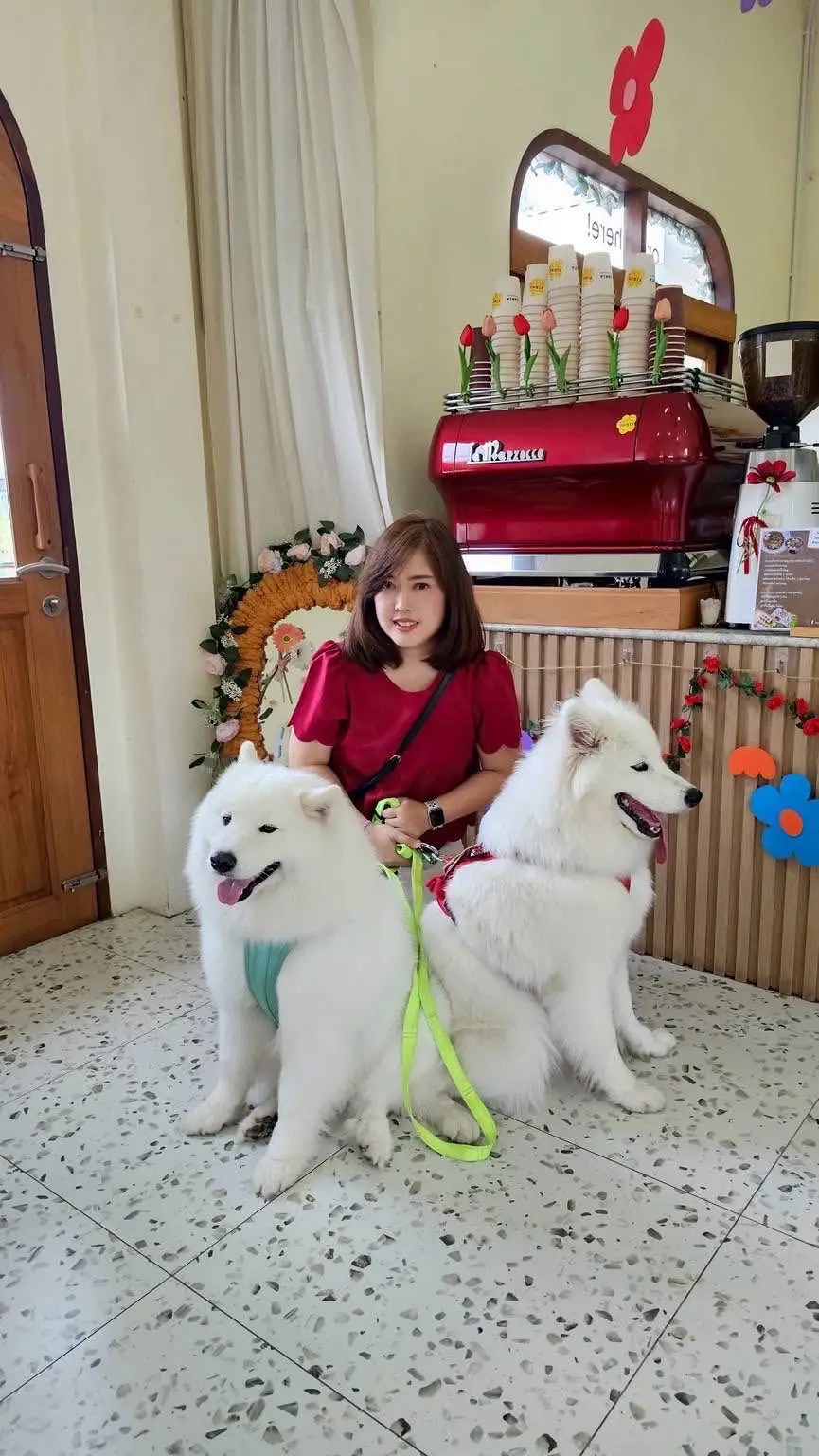 Hansa cafe pets image 5