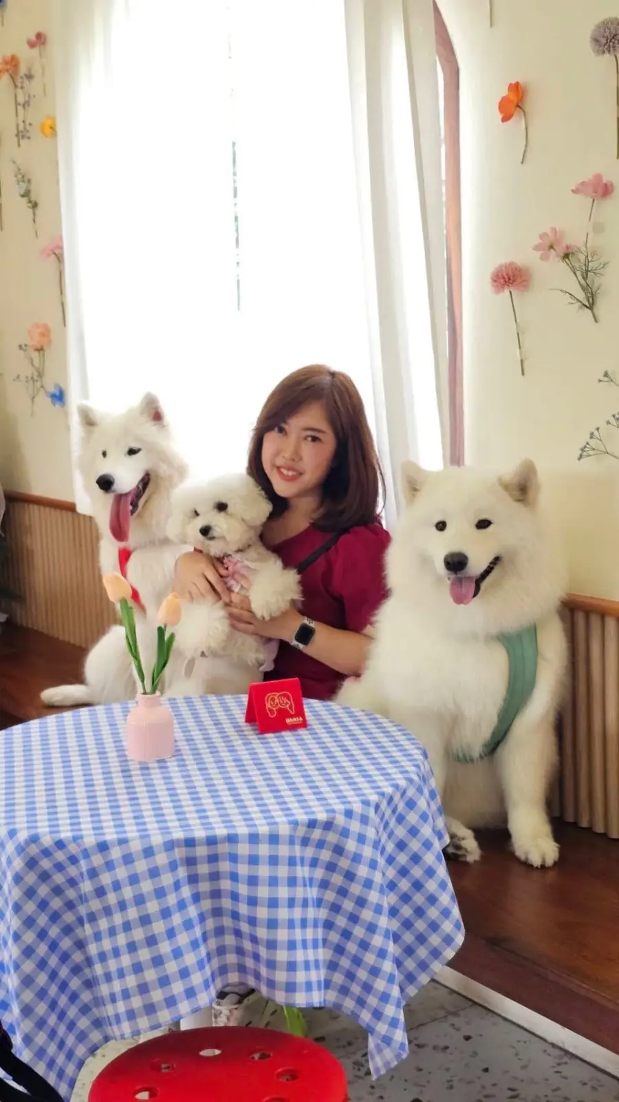 Hansa cafe pets image 4