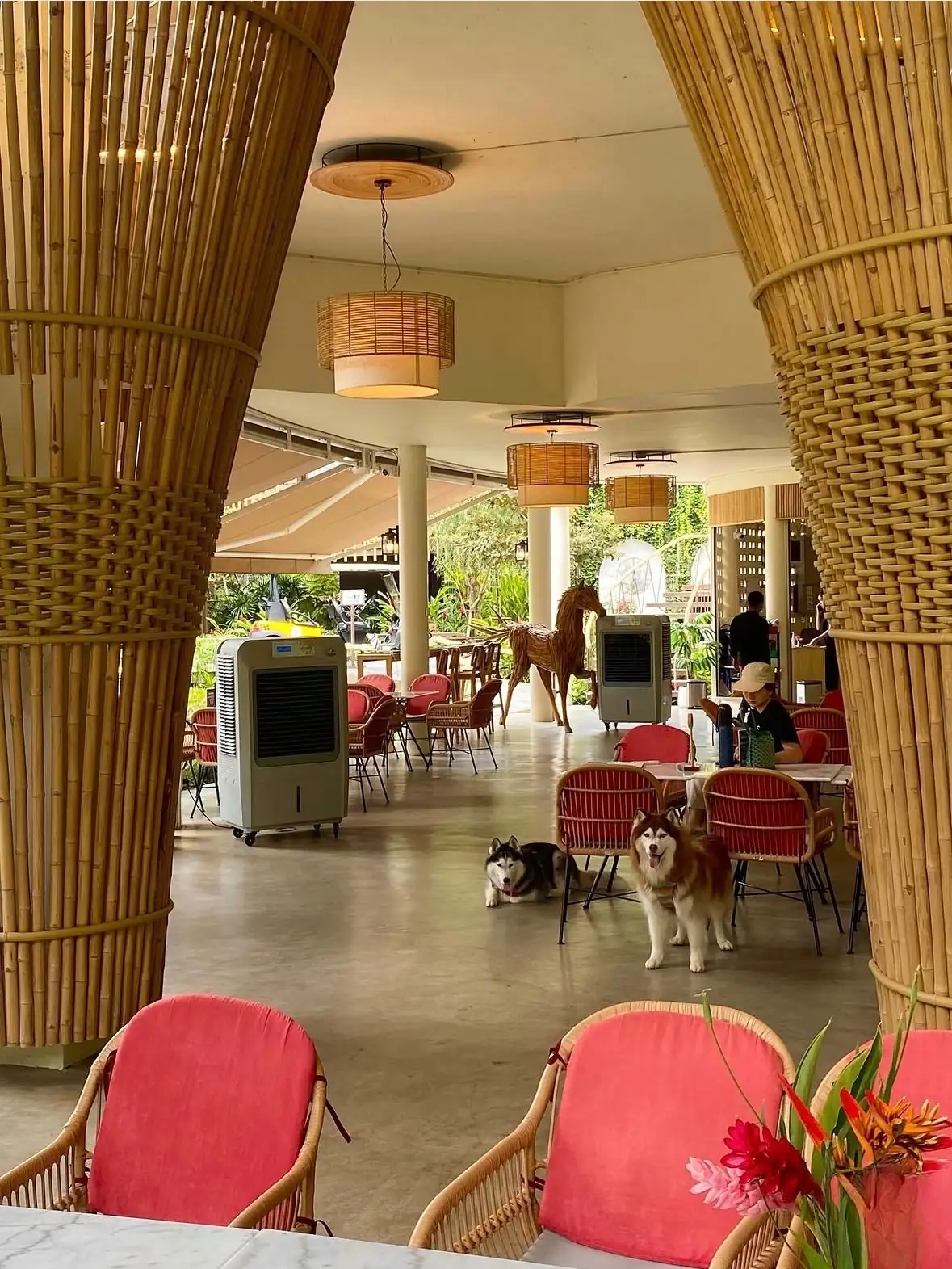 T-Story Mae Kampong pets image 1