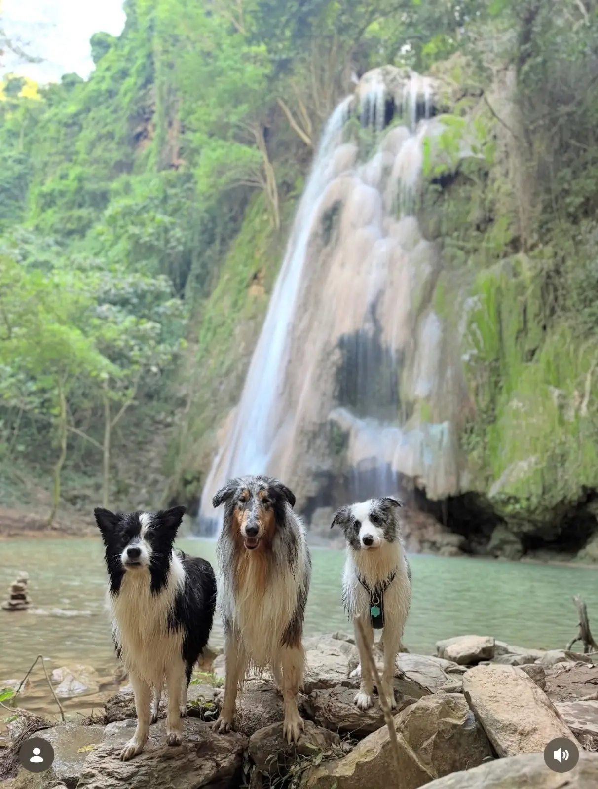 น้ำตกผาแดงซับพลู pets image 3