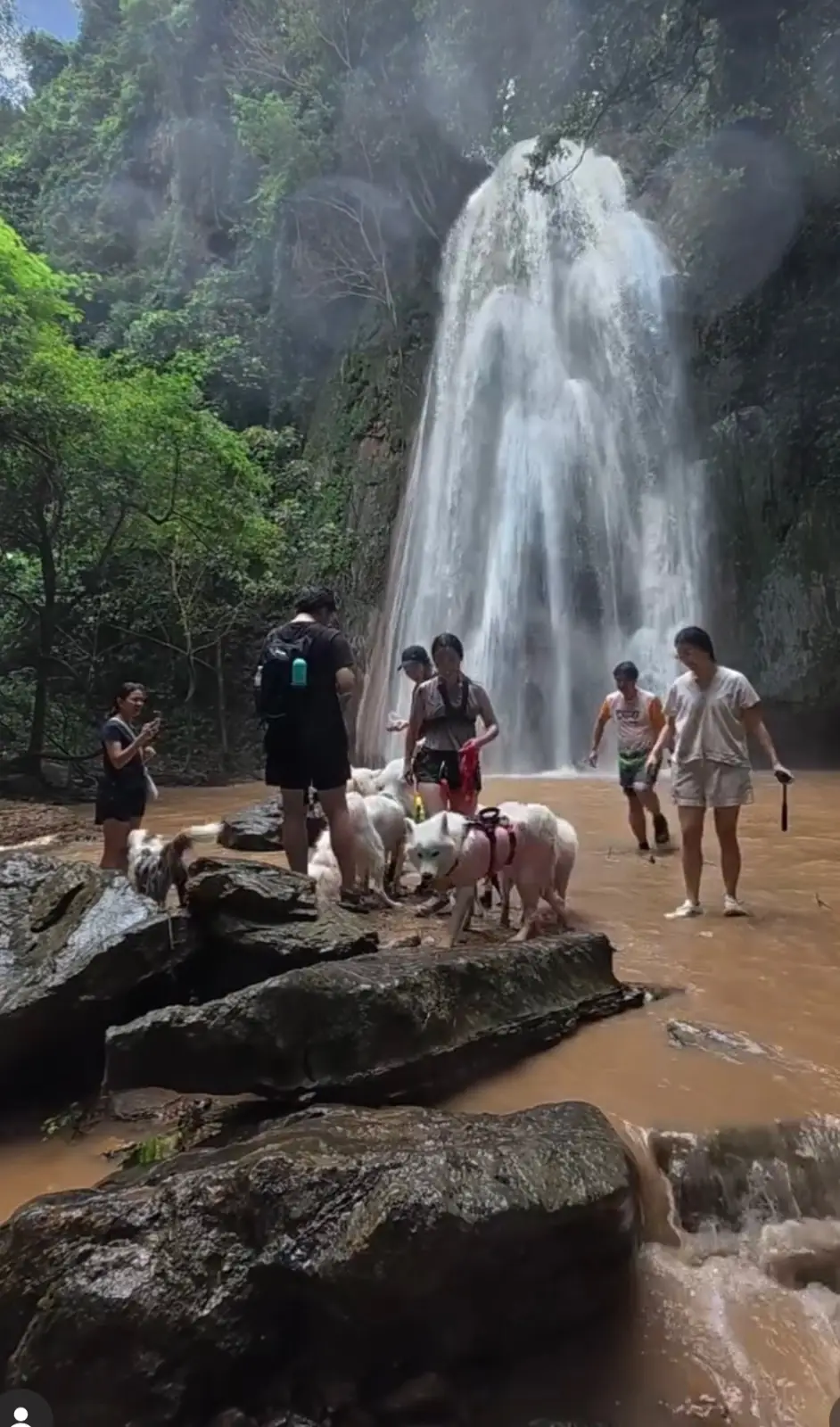 น้ำตกผาแดงซับพลู pets image 1