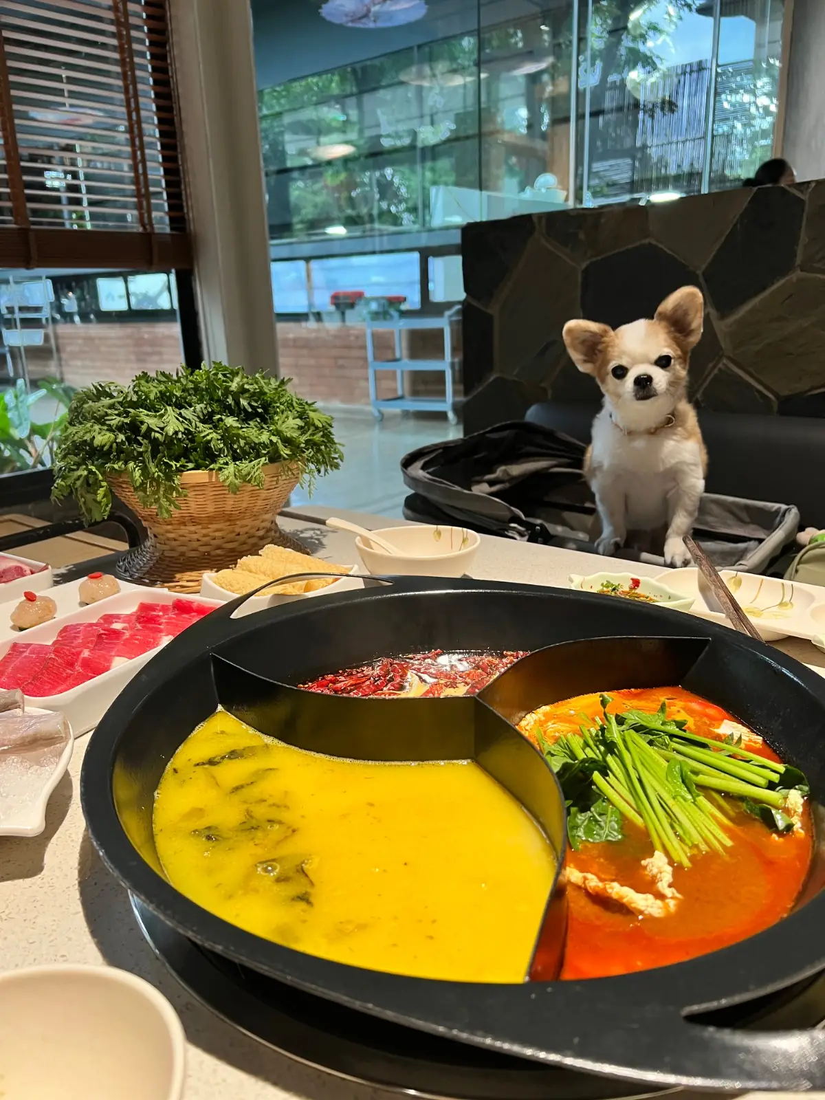 MJ Hotpot food image 1