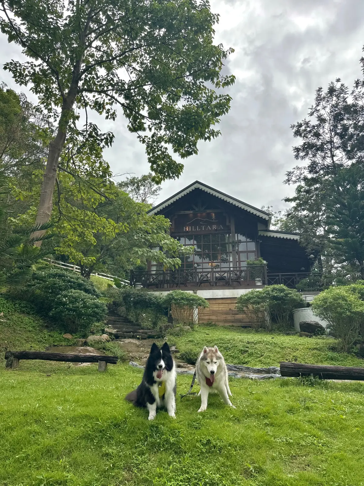 Hilltara Resort & Cafe - Cha-om pets image 2