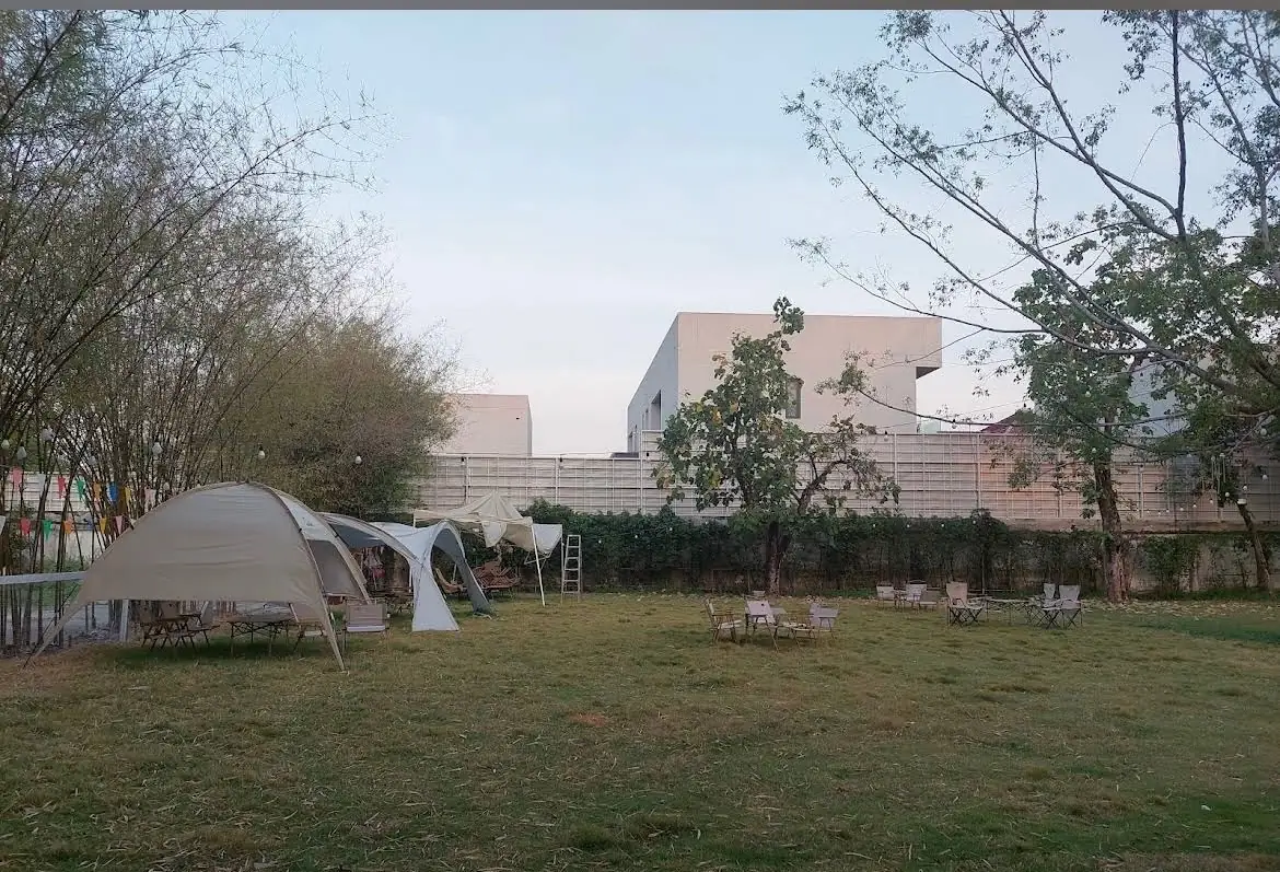 บิ๊กด๊อกคาเฟ่ ambiance image 2