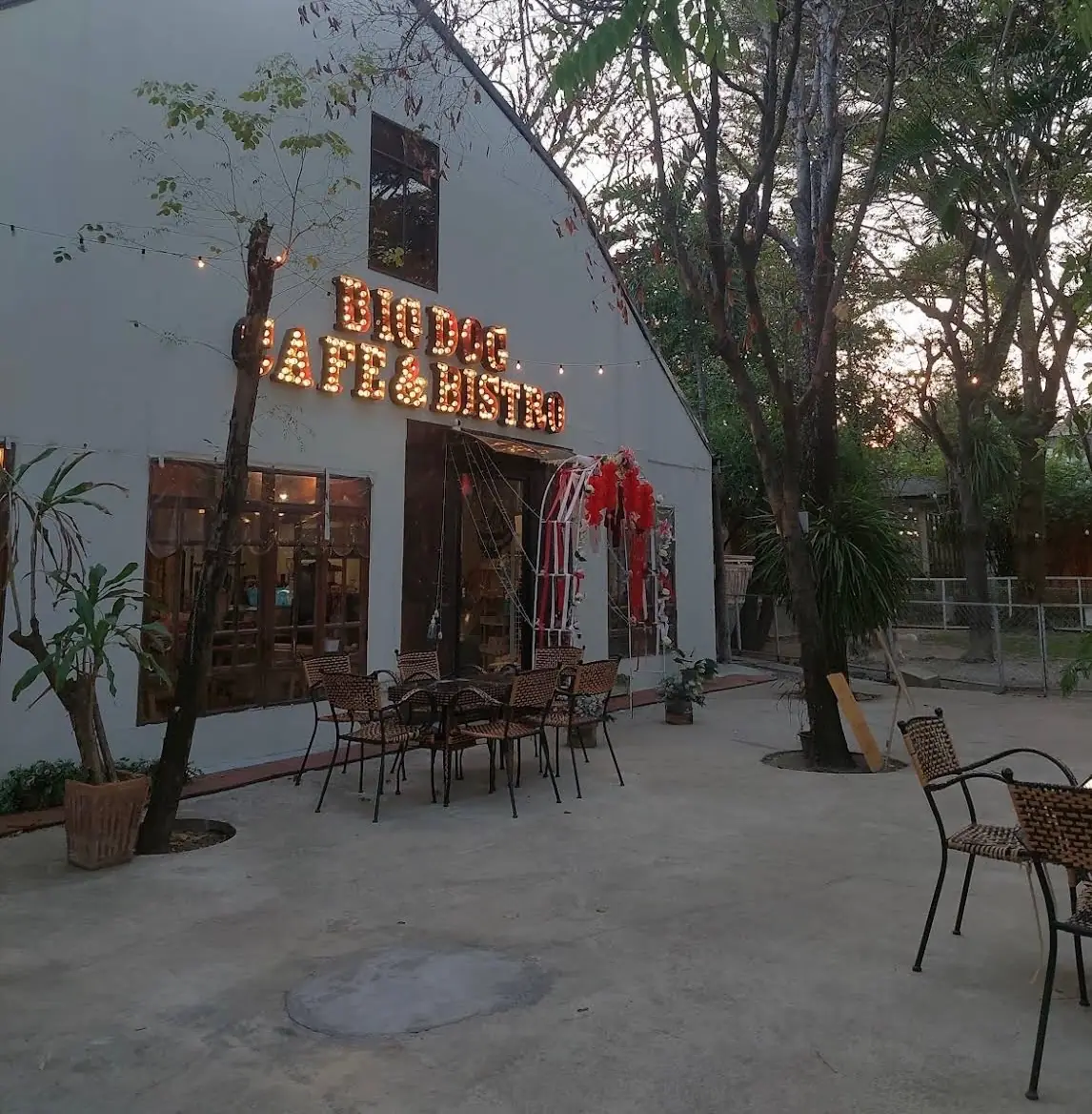 บิ๊กด๊อกคาเฟ่ ambiance image 1