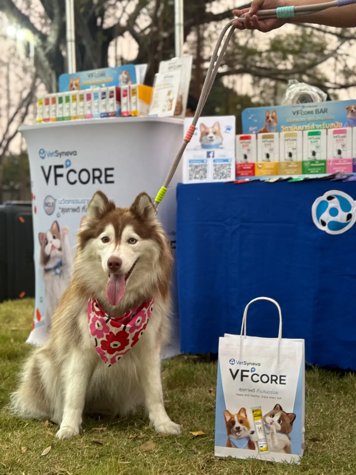 บิ๊กด๊อกคาเฟ่ pets image 4