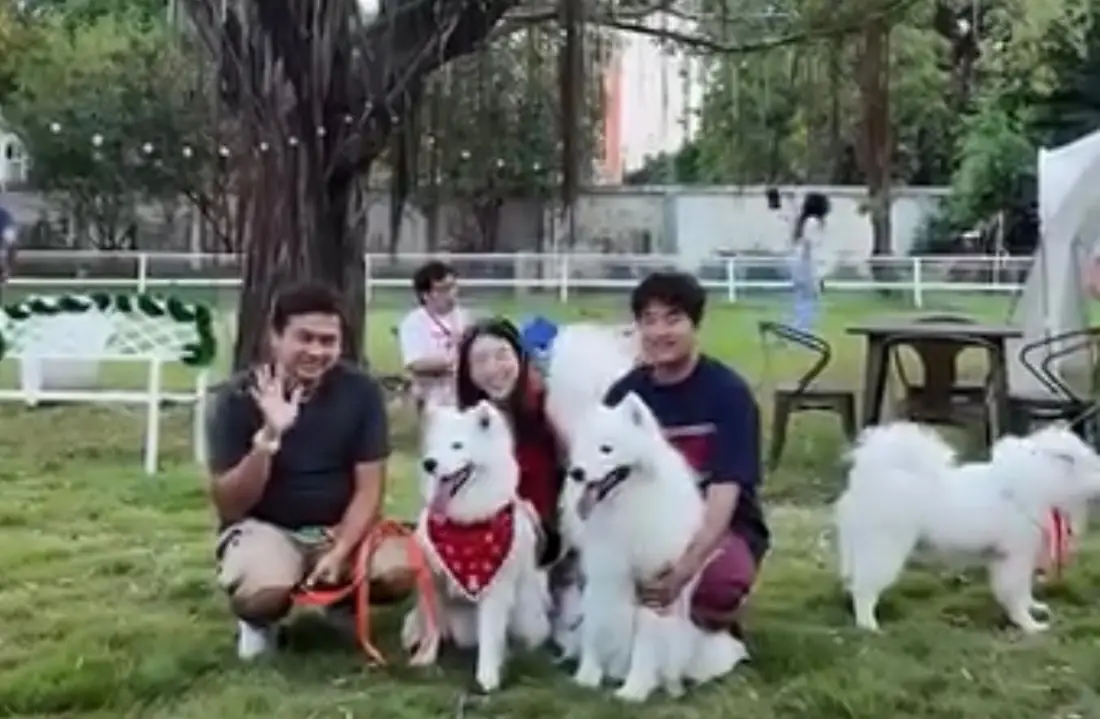 บิ๊กด๊อกคาเฟ่ pets image 1