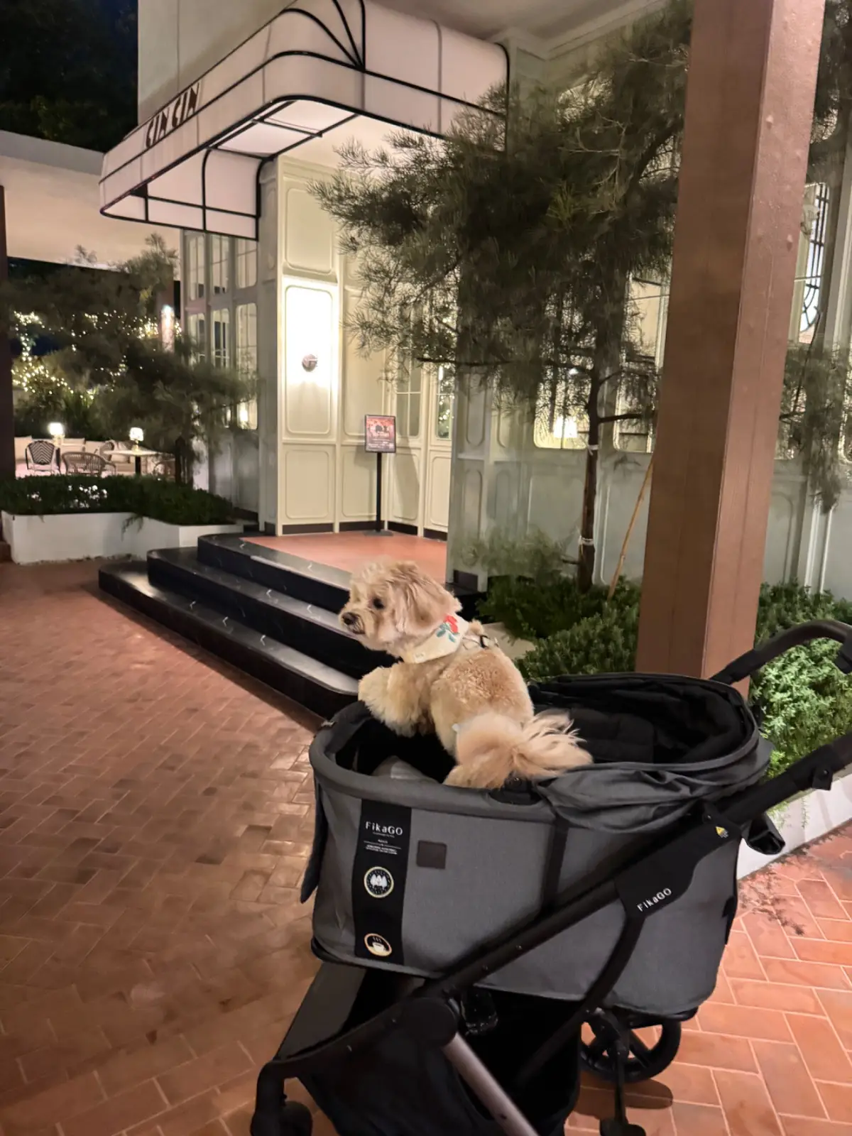 Cin Cin pets image 5