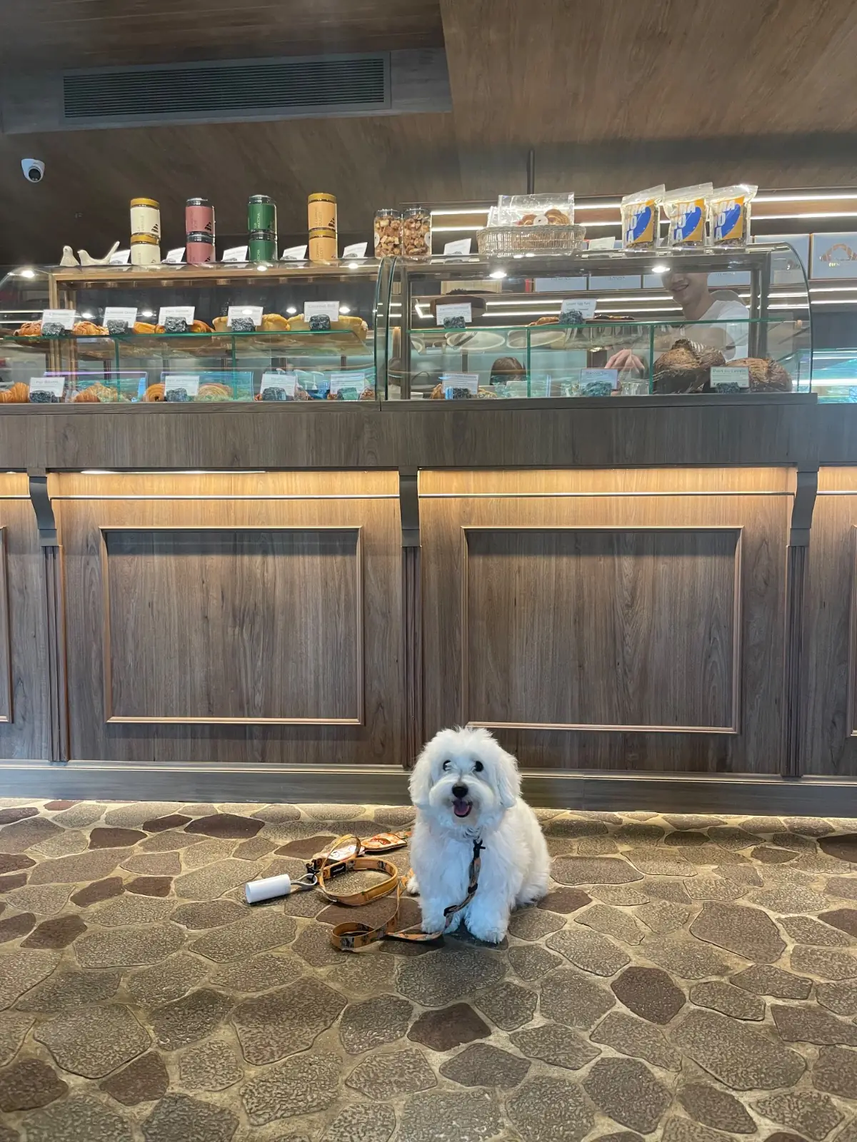 Tiengna Viennoiserie - Sathorn pets image 1