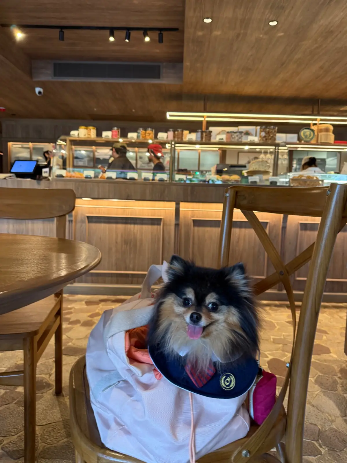 Tiengna Viennoiserie - Sathorn pets image 3