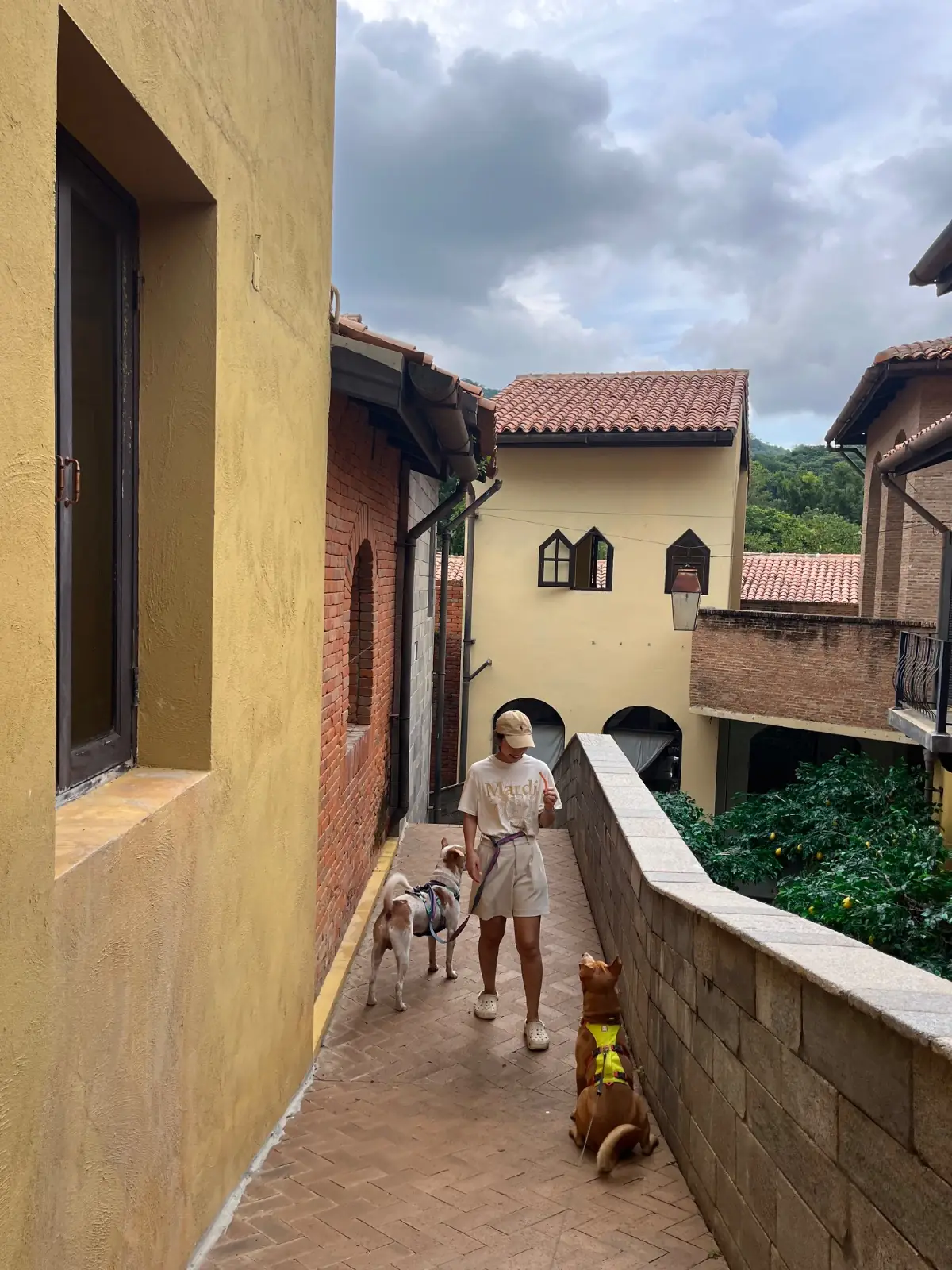 Primo Piazza pets image 3