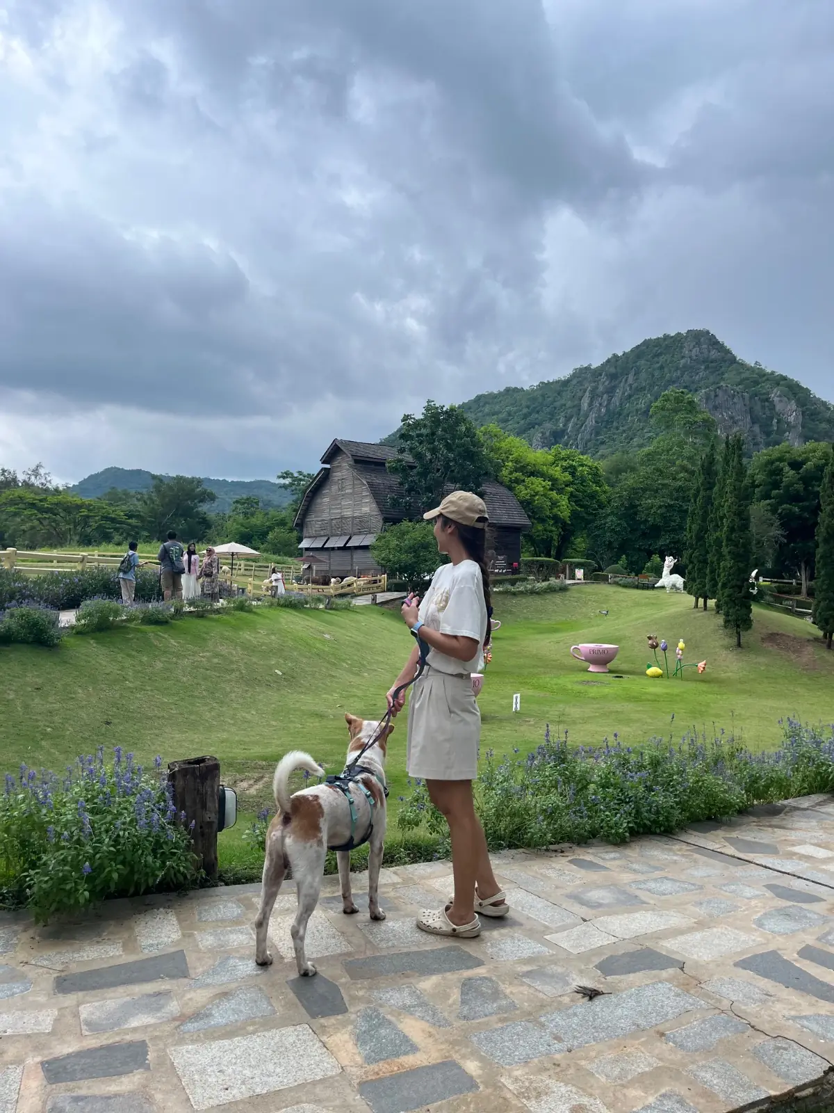 Primo Piazza pets image 5