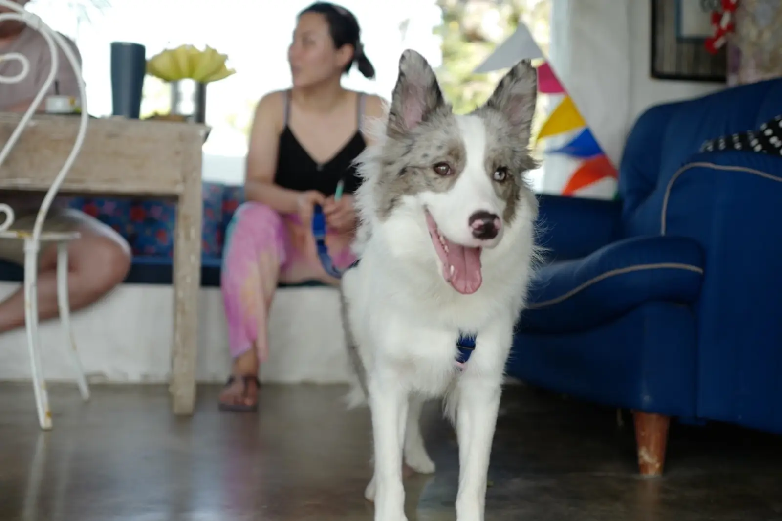 หัวปลีเลซี่บีช รีสอร์ท pets image 4