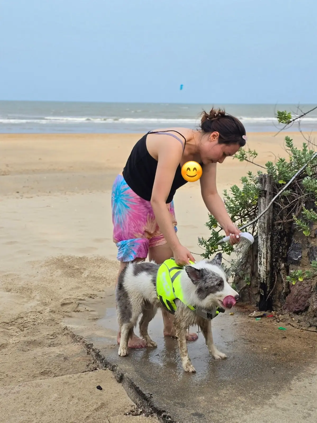 หัวปลีเลซี่บีช รีสอร์ท pets image 5