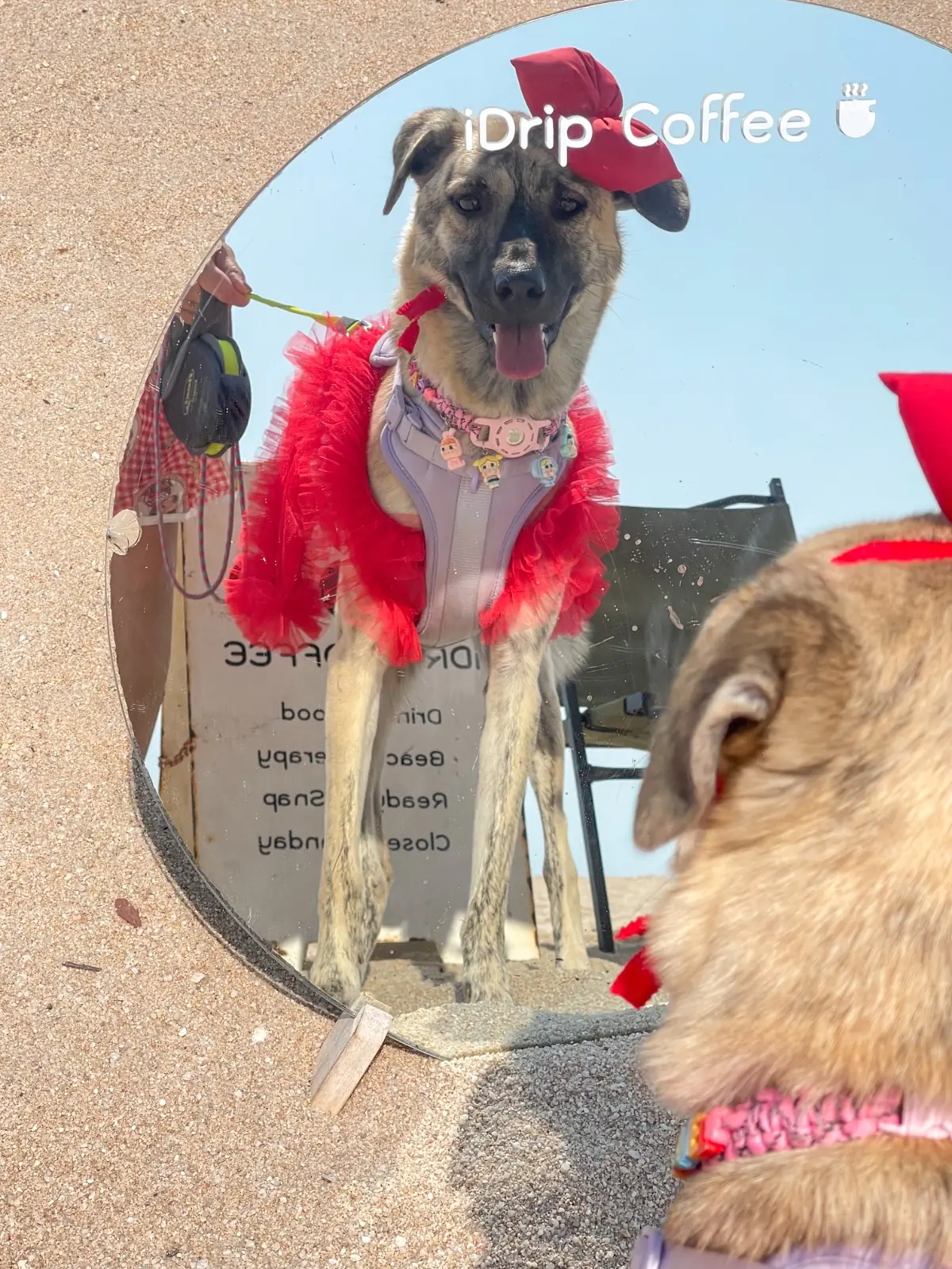 iDrip Coffee Lab pets image 1