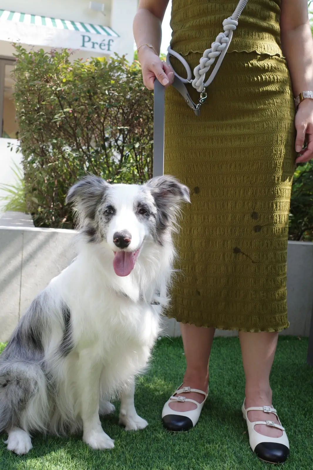 Préf Café & Bar pets image 2