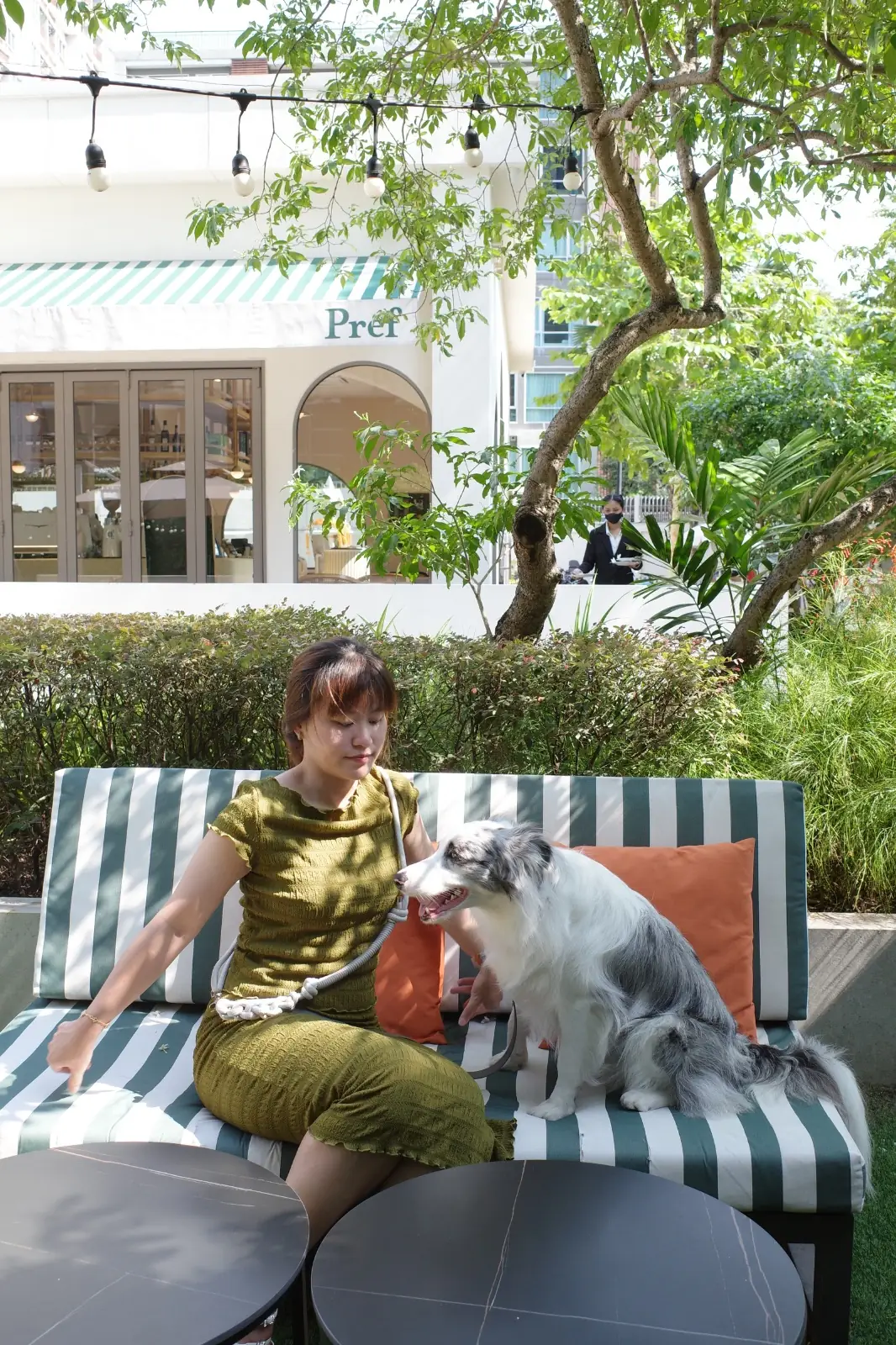 Préf Café & Bar pets image 1