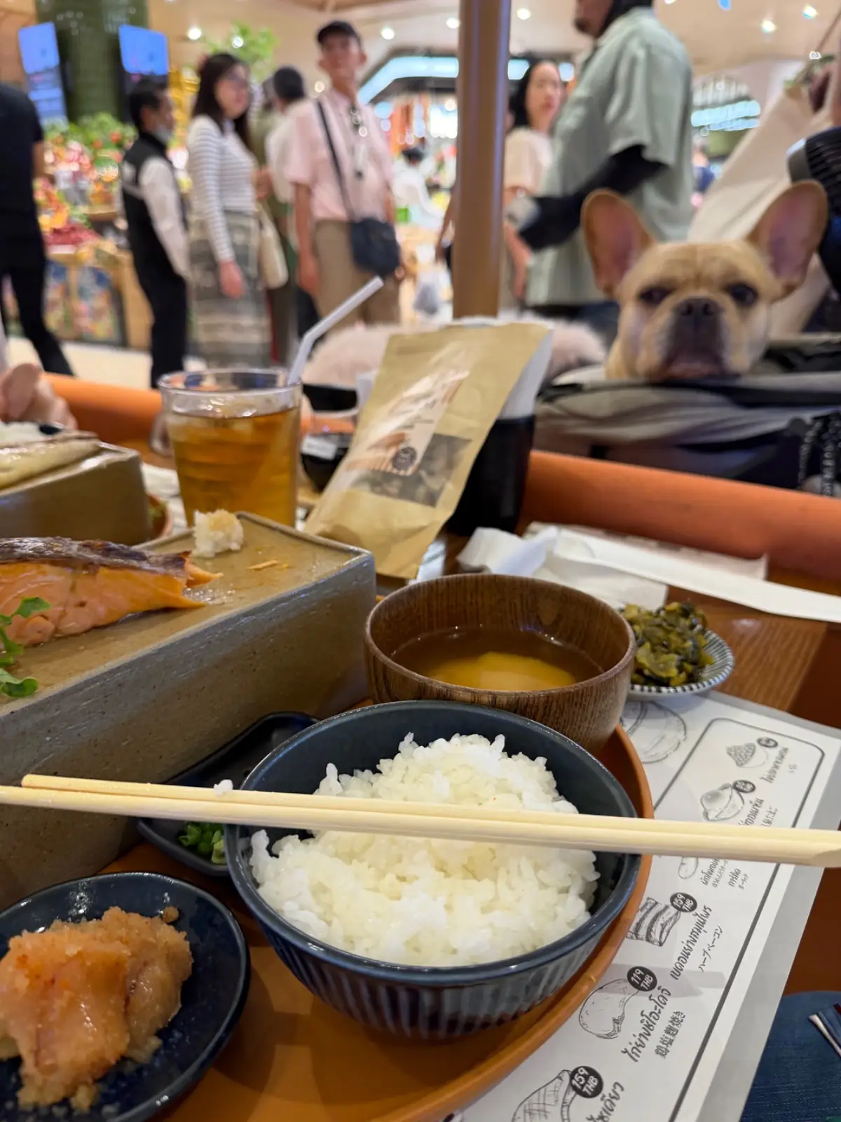 Grill Yamaya - Dusit Central Park pets image 1