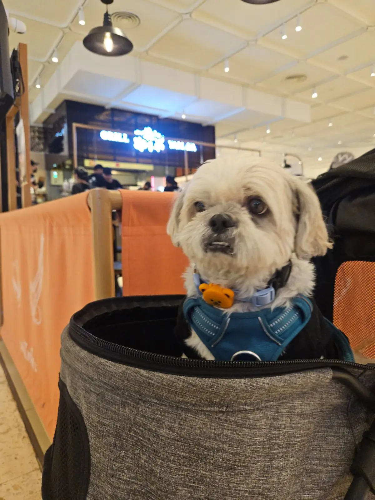 Grill Yamaya - Dusit Central Park pets image 2