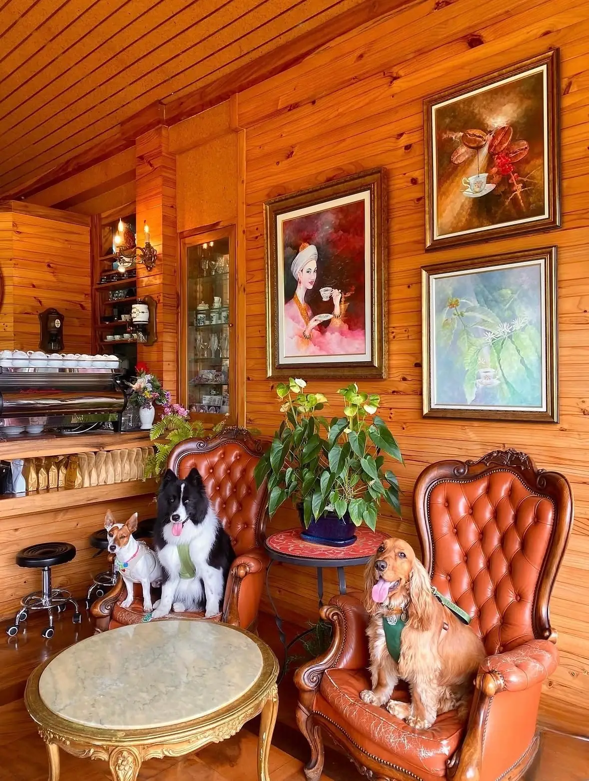 First Valley Coffee Estate pets image 2