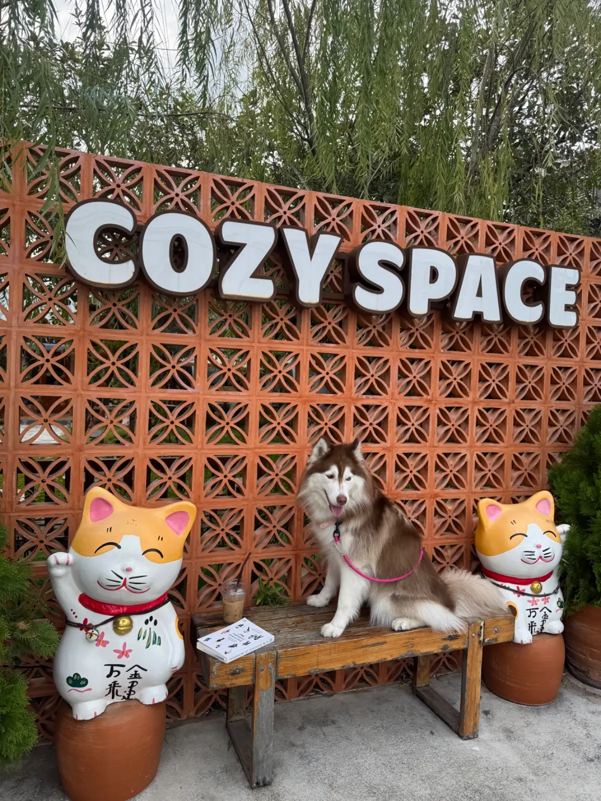 โคซี่สเปซคาเฟ่ ambiance image 1