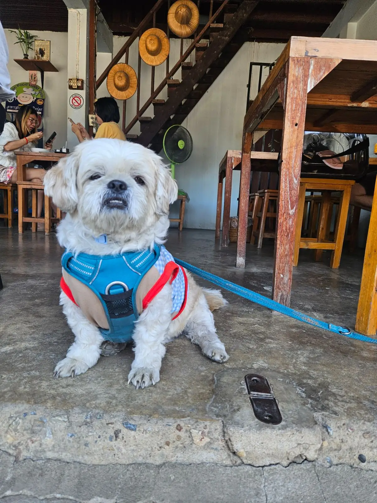 ร้านข้าวซอยป่าแดด other image 1