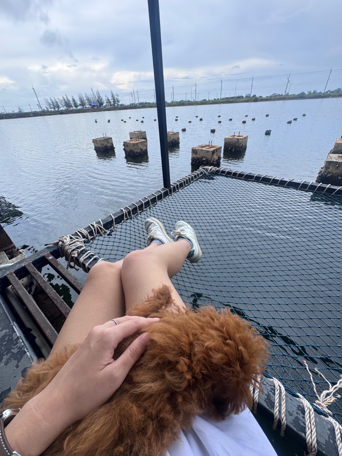 Uncle Ya seafood pets image 2