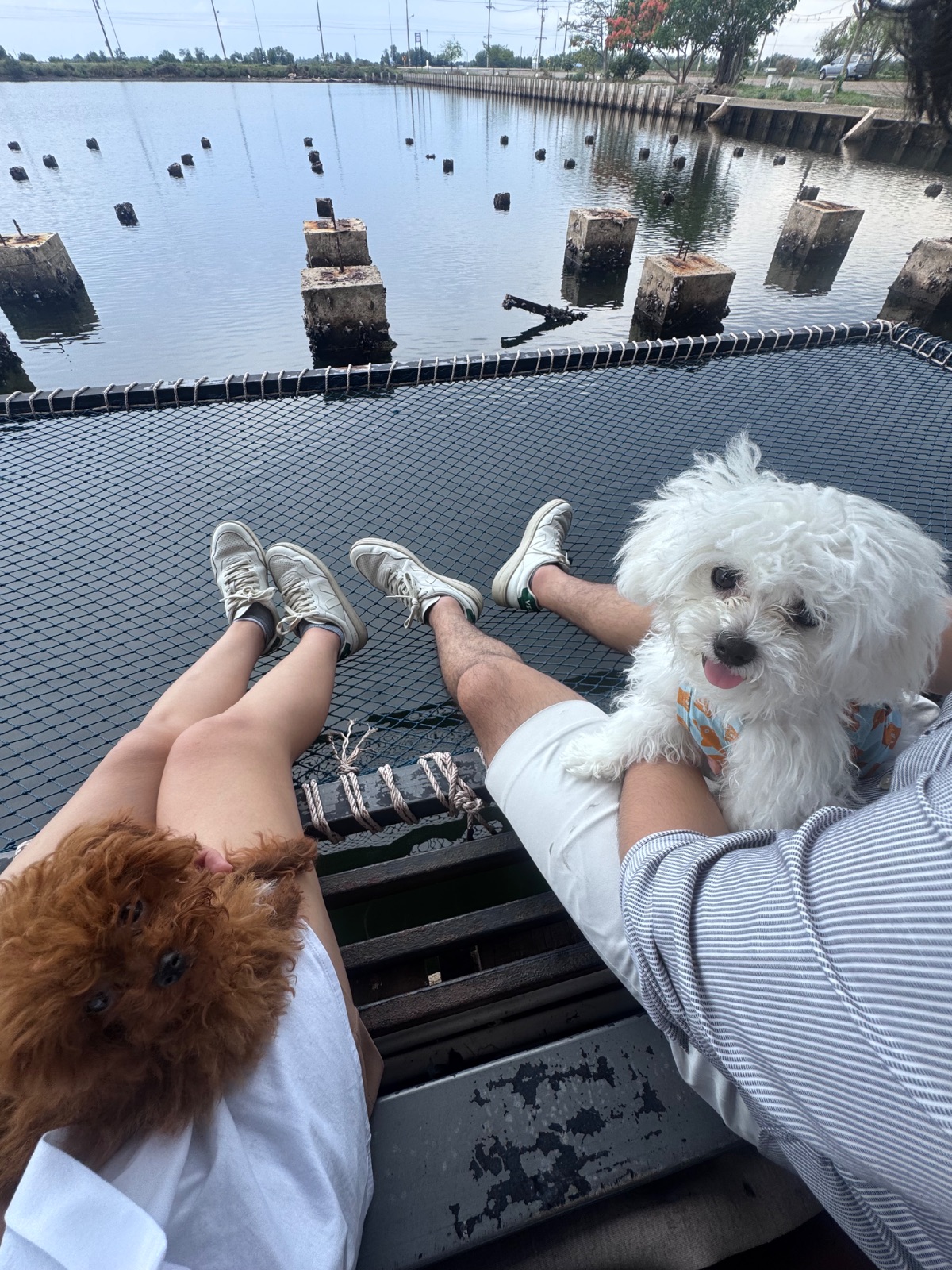 Uncle Ya seafood pets image 1