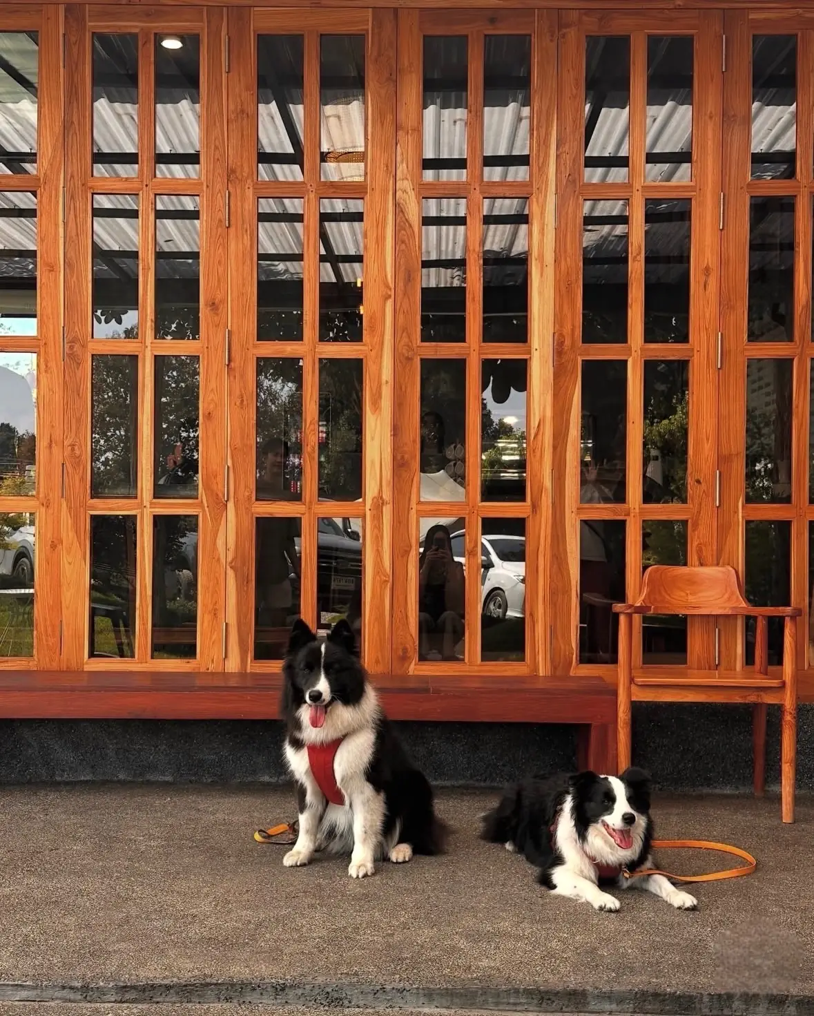 glamp./cafe pets image 1