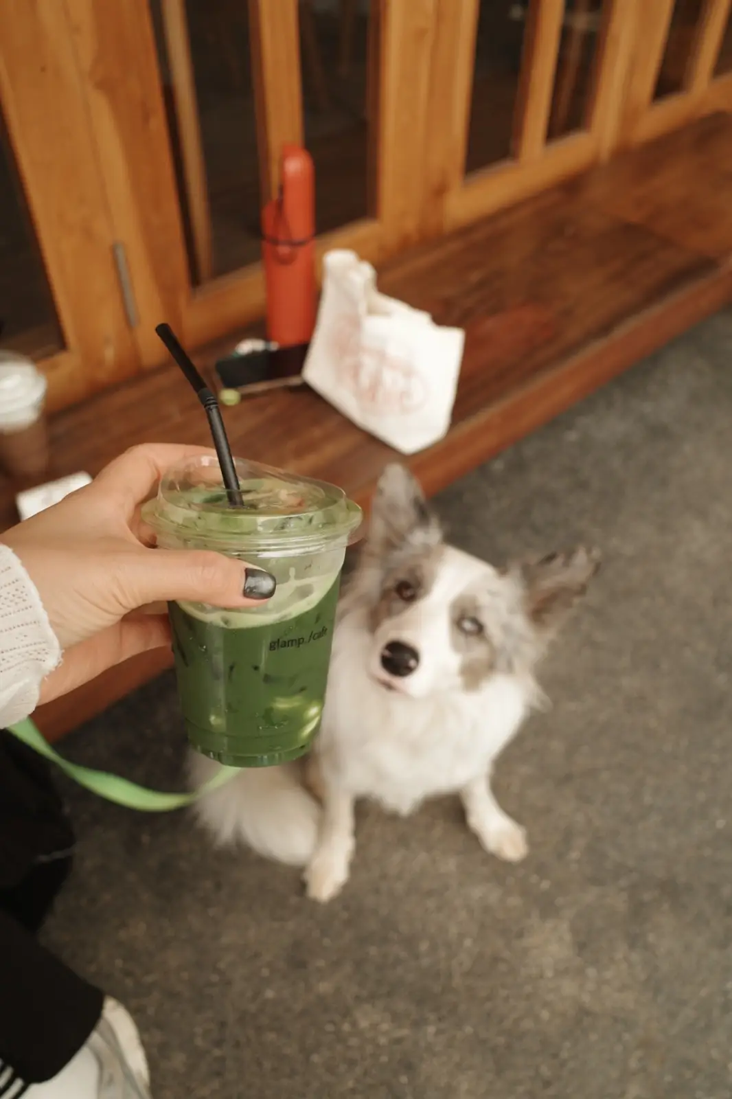 glamp.cafe pets image 1