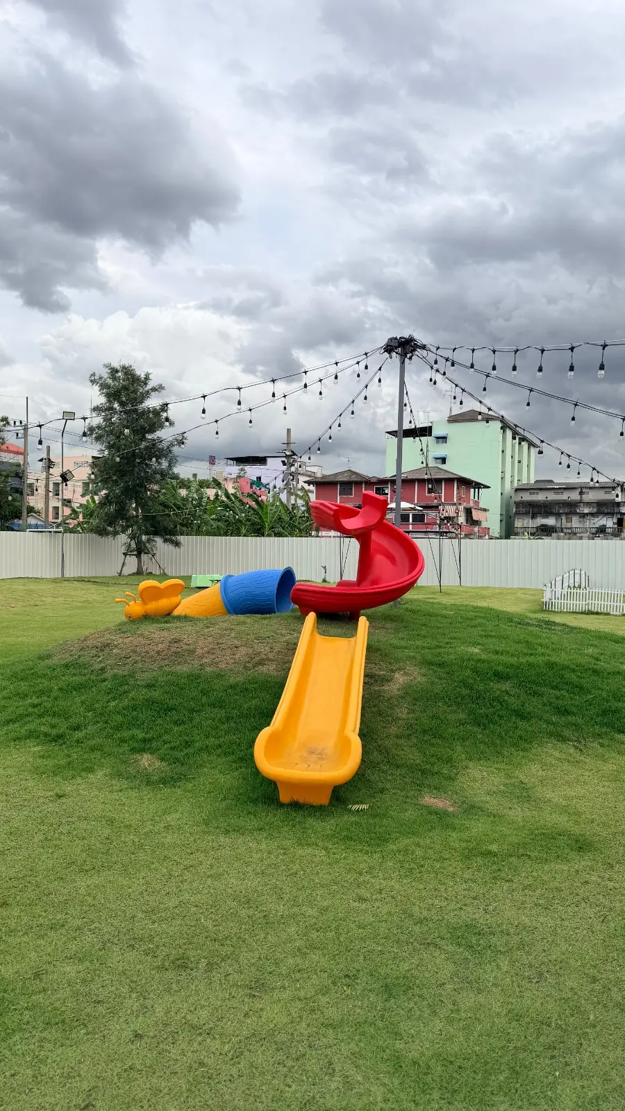 Paw & Play Rangsit overall image 1