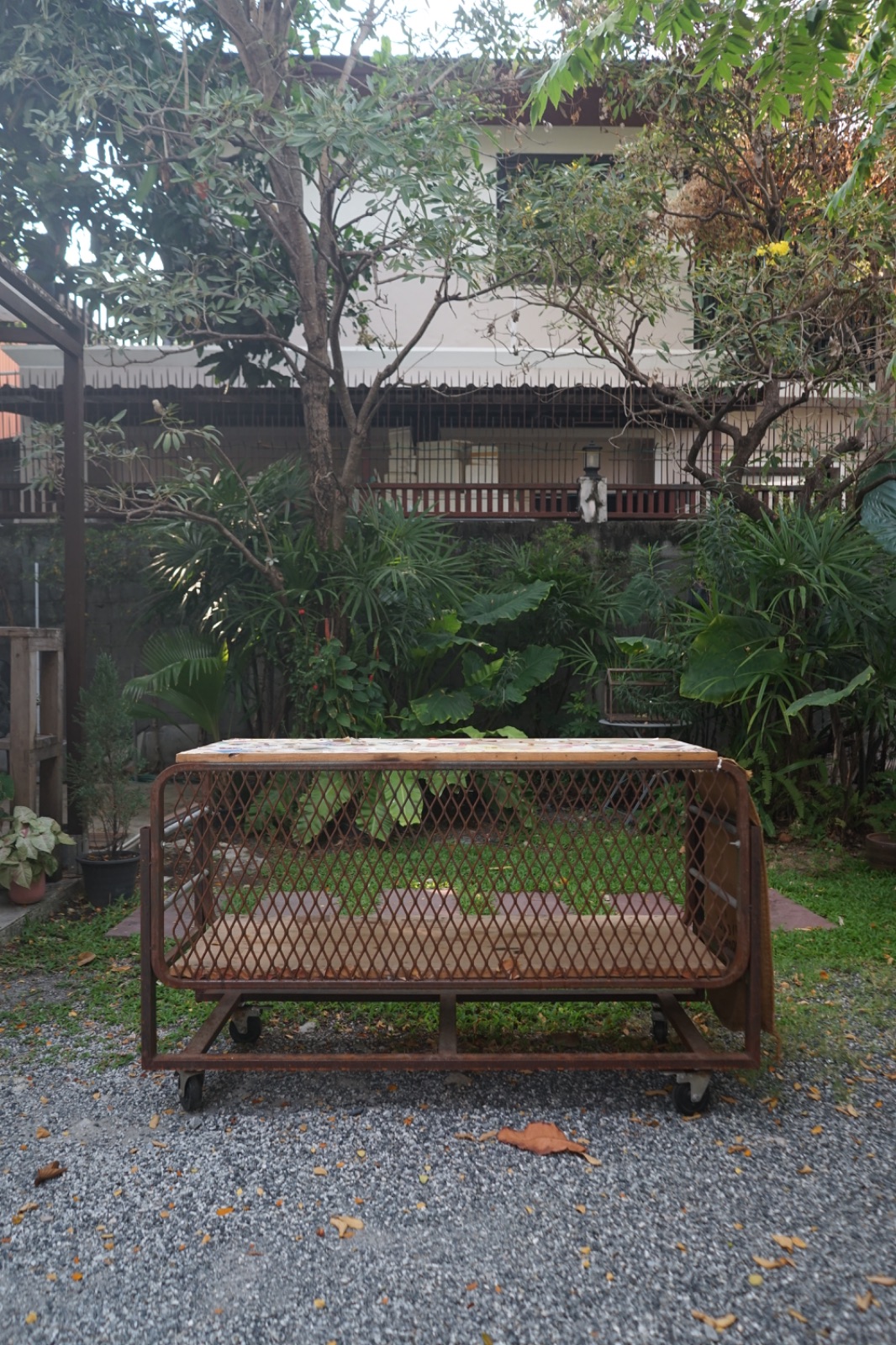 เจนลูกสาวป้าดำ - Jane Luk Saw Padam ambiance image 5