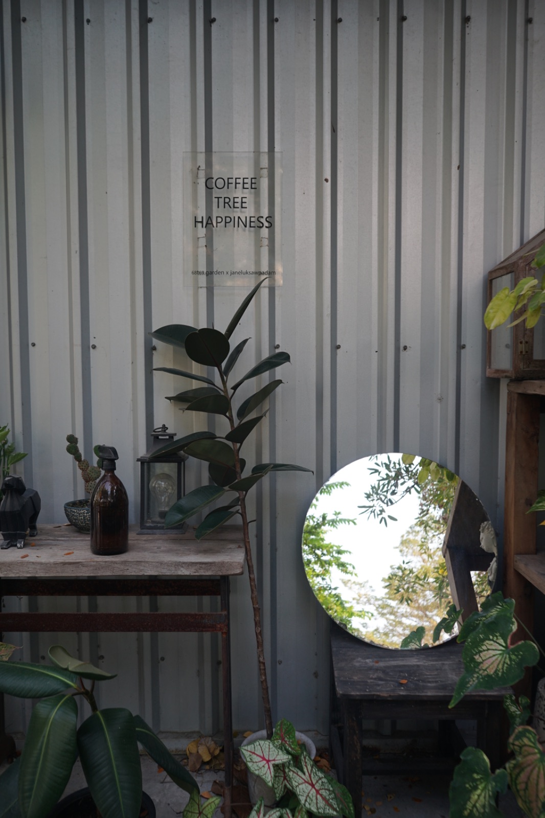 เจนลูกสาวป้าดำ - Jane Luk Saw Padam ambiance image 6