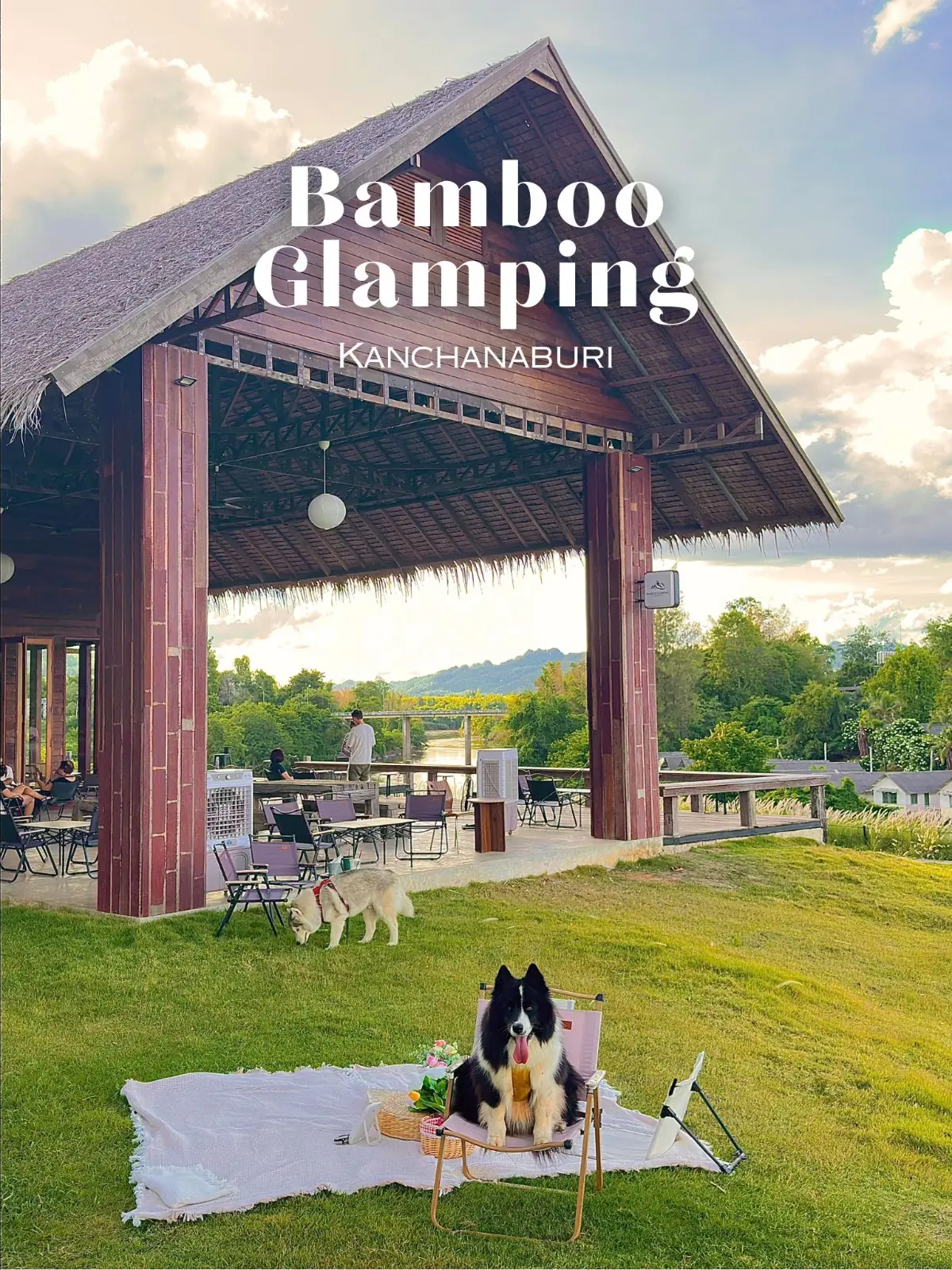 Bambooglamping Cafe & Camping overall image 1