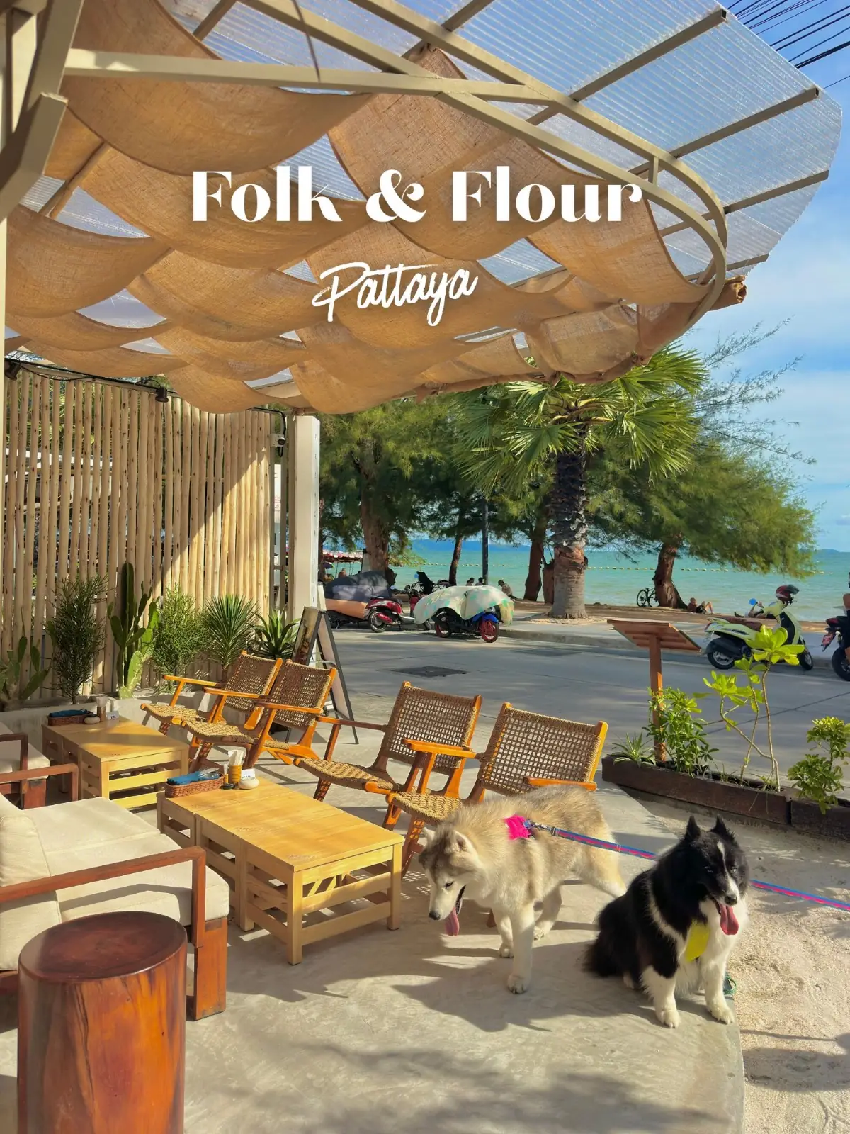 Folks & Flour Homemade French Bakery pets image 1