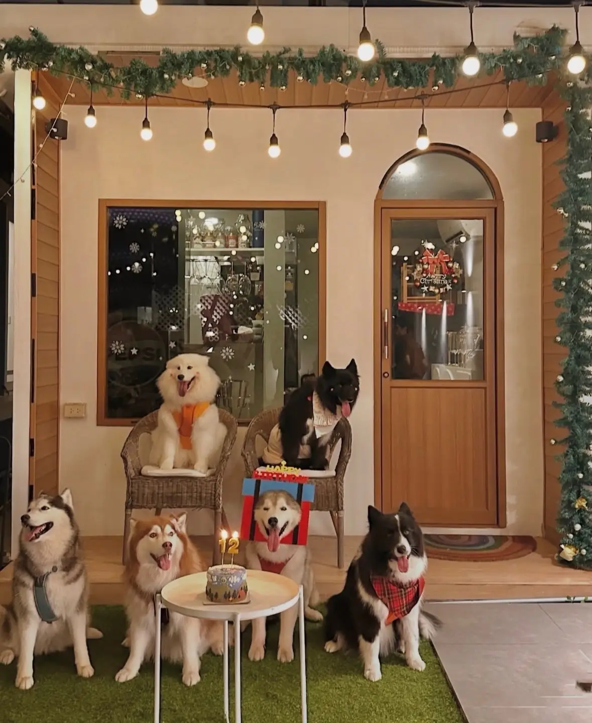 มา-หา-อั้ม pets image 1