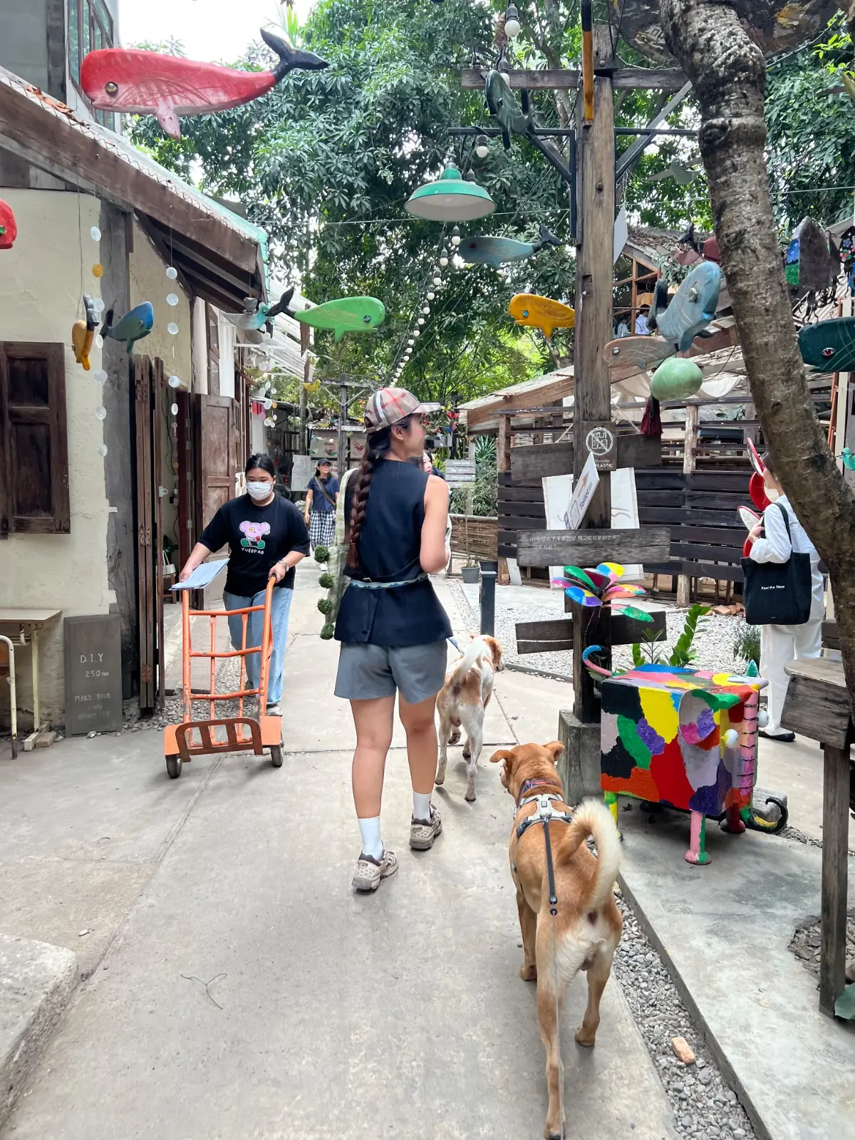 Ban Kang Wat ambiance image 2