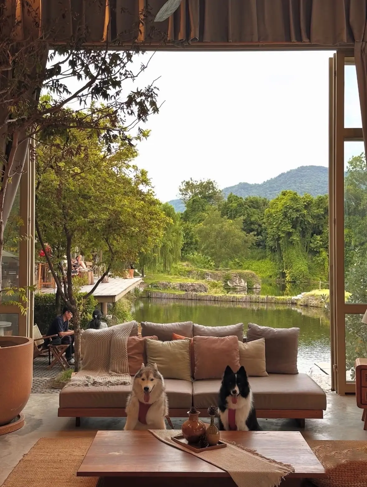 ซีรีน เฮาส์ คาเฟ่ pets image 7