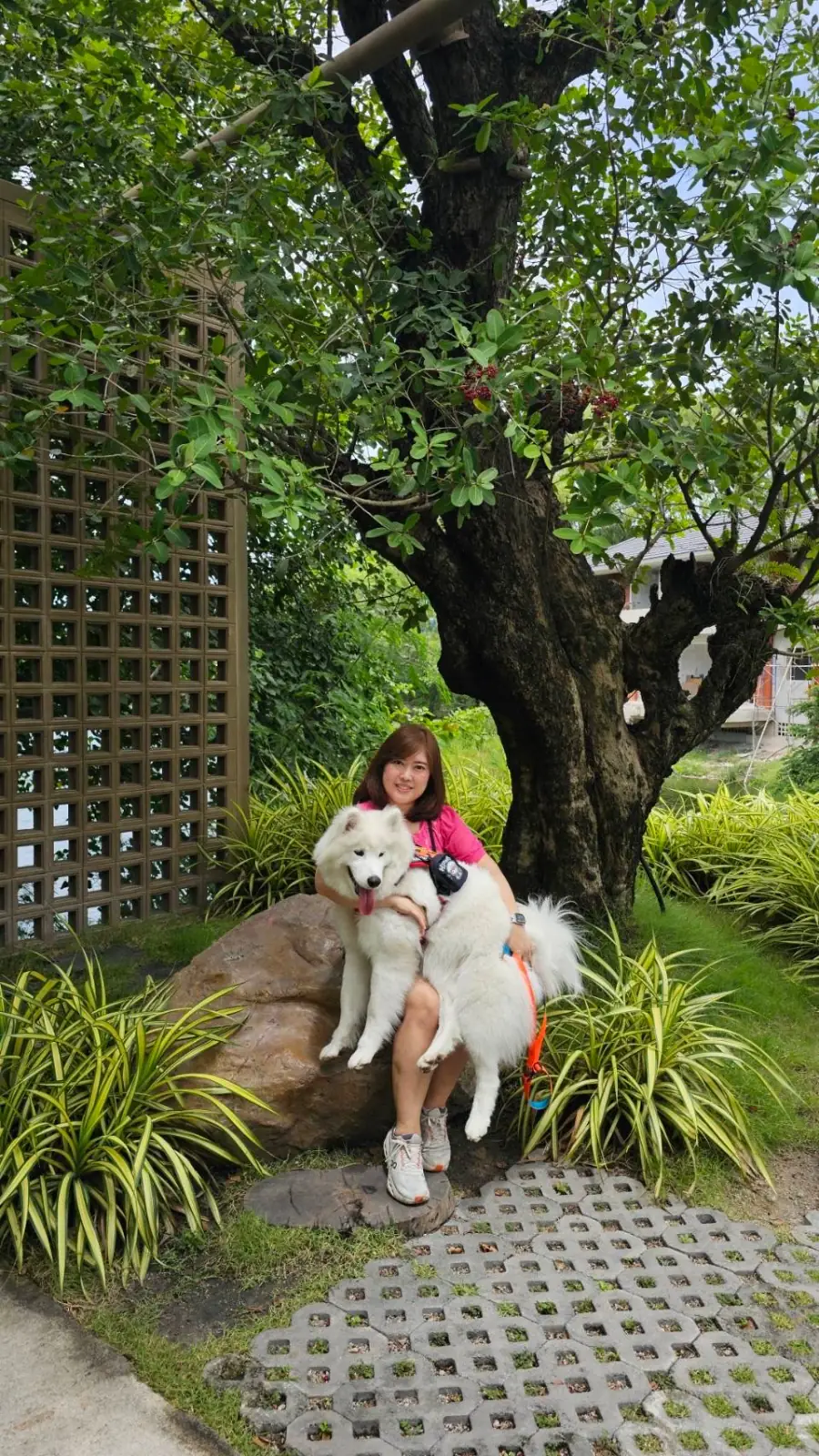 ซีรีน เฮาส์ คาเฟ่ pets image 6