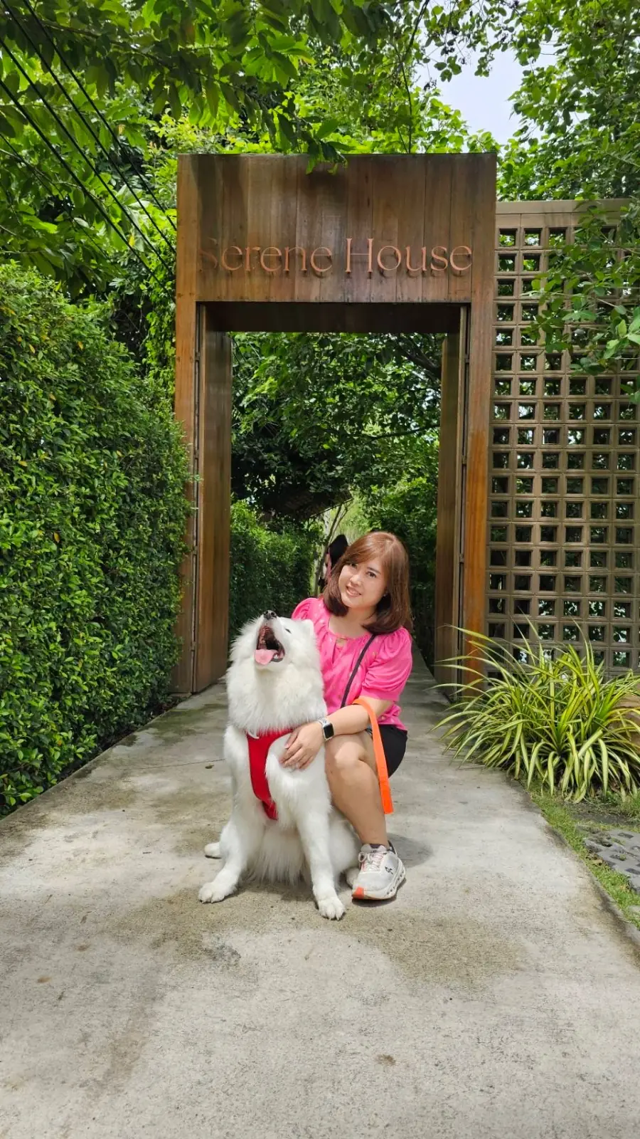 ซีรีน เฮาส์ คาเฟ่ pets image 1