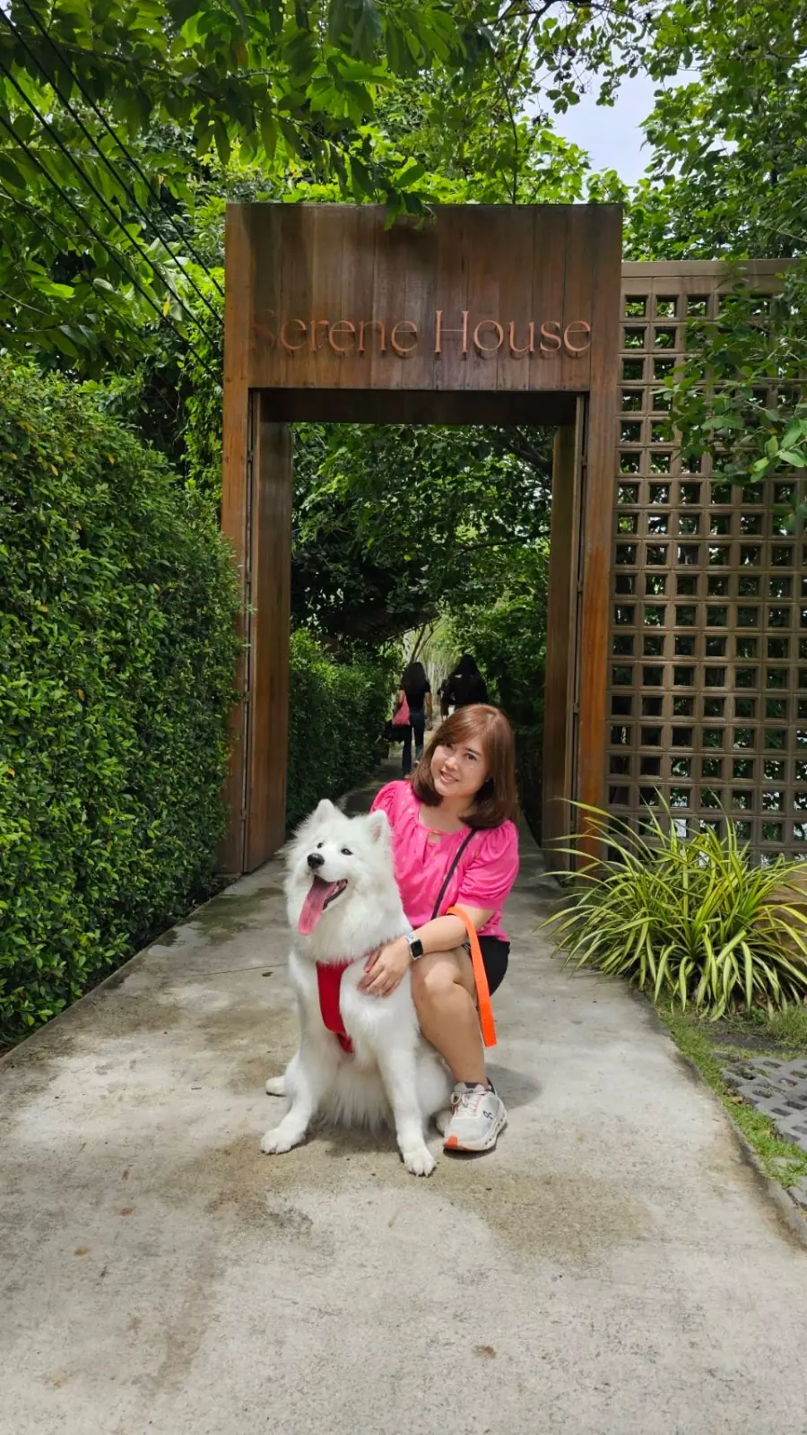 ซีรีน เฮาส์ คาเฟ่ pets image 2