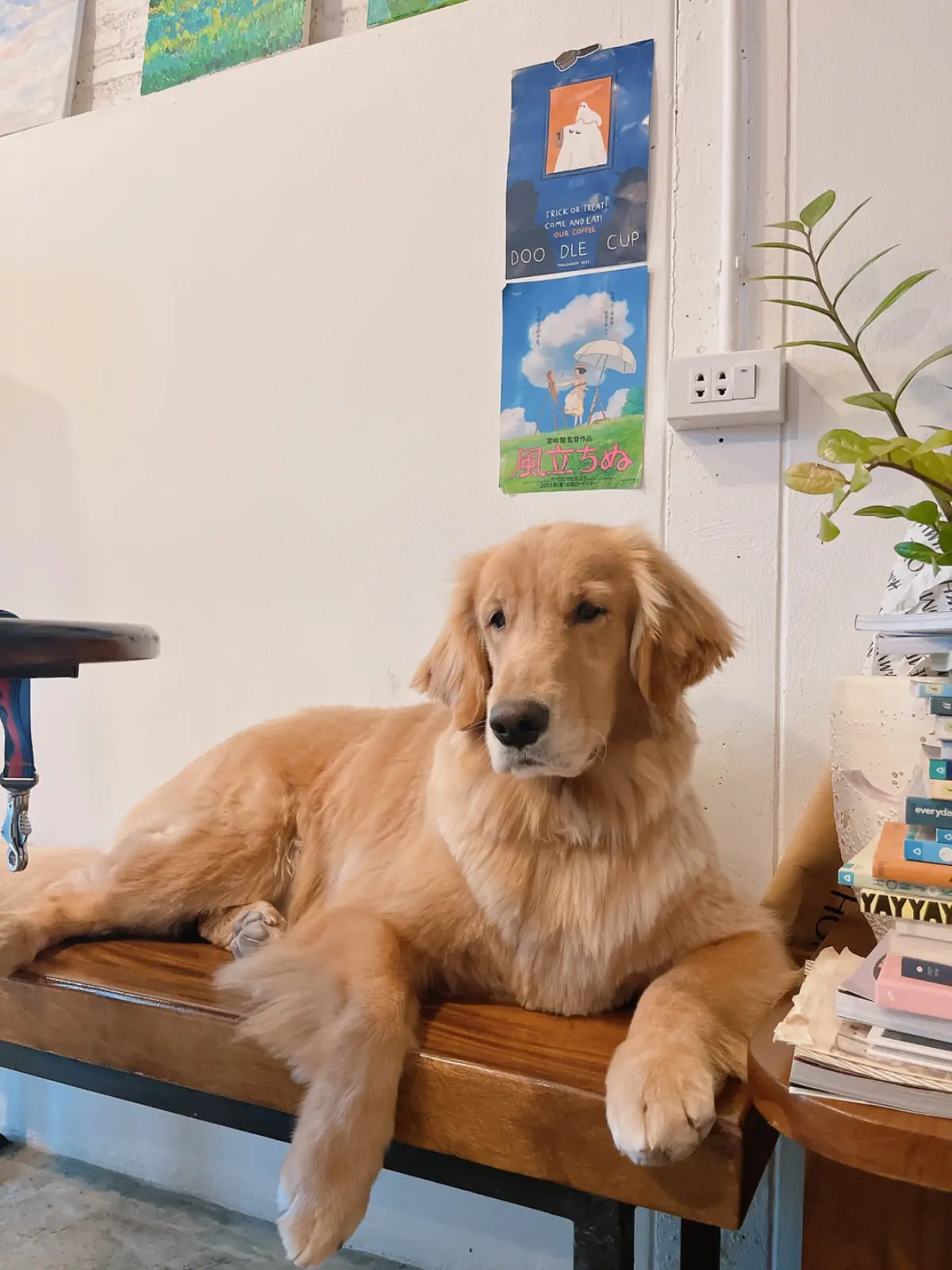 Doodle Cup pets image 1