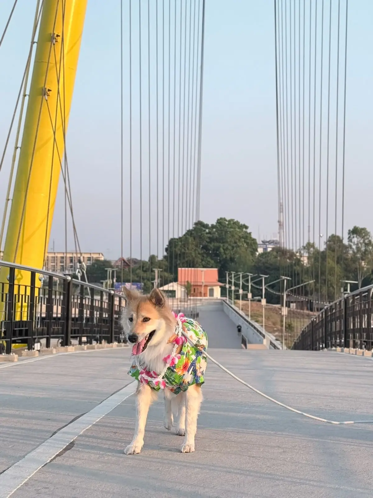 แลนด์มาร์คอ่างทอง overall image 2