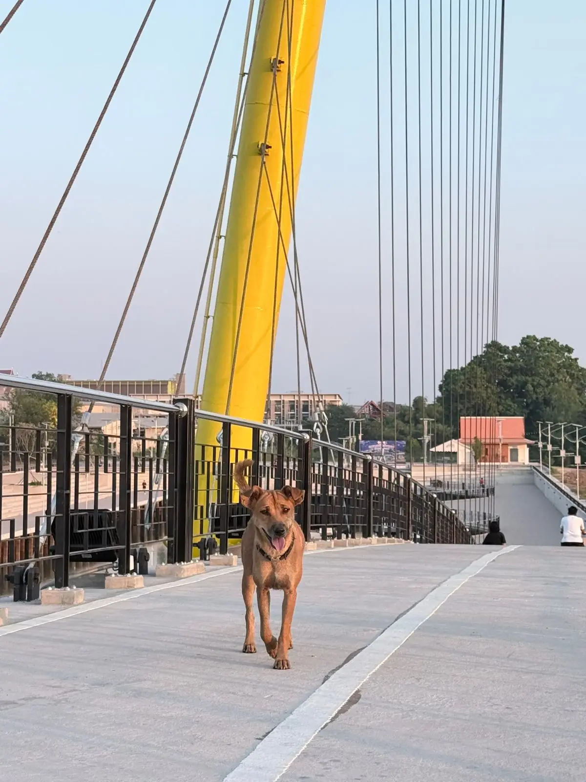 แลนด์มาร์คอ่างทอง overall image 1